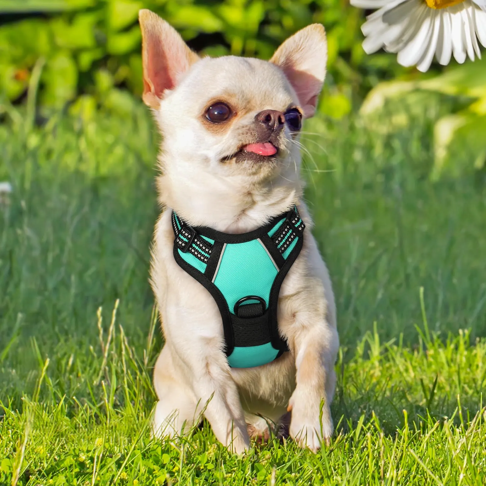 rabbitgoo Pettorina Cane ad H Regolabile, Anti Tiro Riflettente e Traspirante, Menta Verde, XS - immagine 9