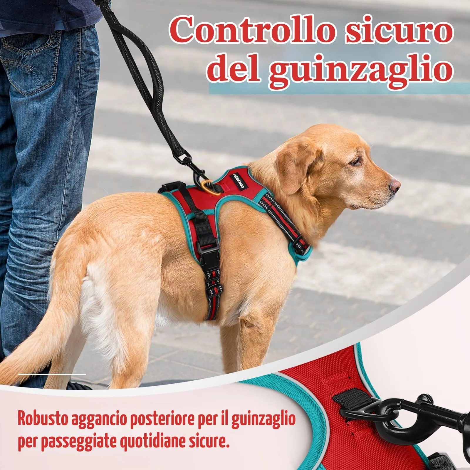 rabbitgoo Pettorina Cane ad H Regolabile Anti Tiro Riflettente, Rosso + Blu Pavone, M - immagine 7