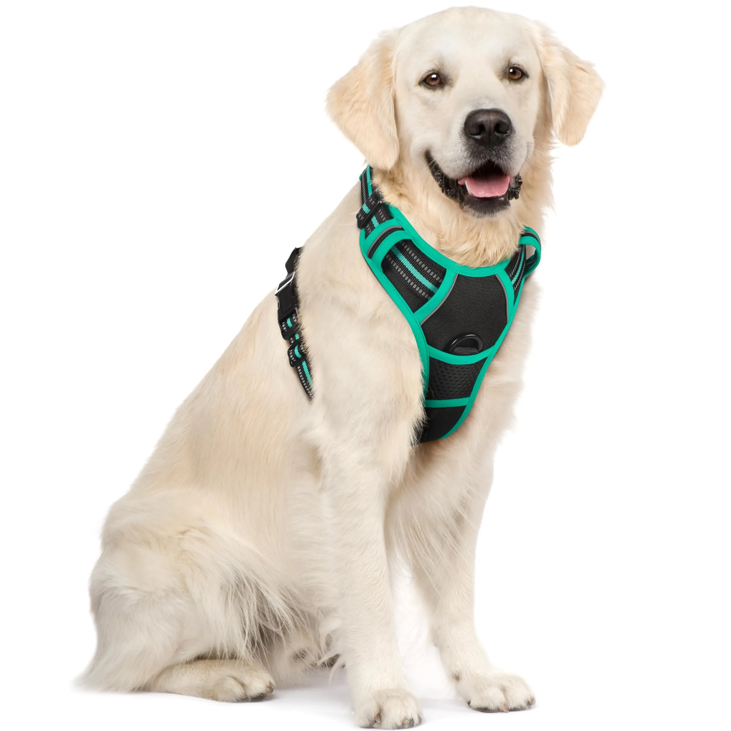 rabbitgoo Pettorina Cane ad H Regolabile, Anti Tiro e Riflettente, Traspirante, Nero + Menta, XL - immagine 1