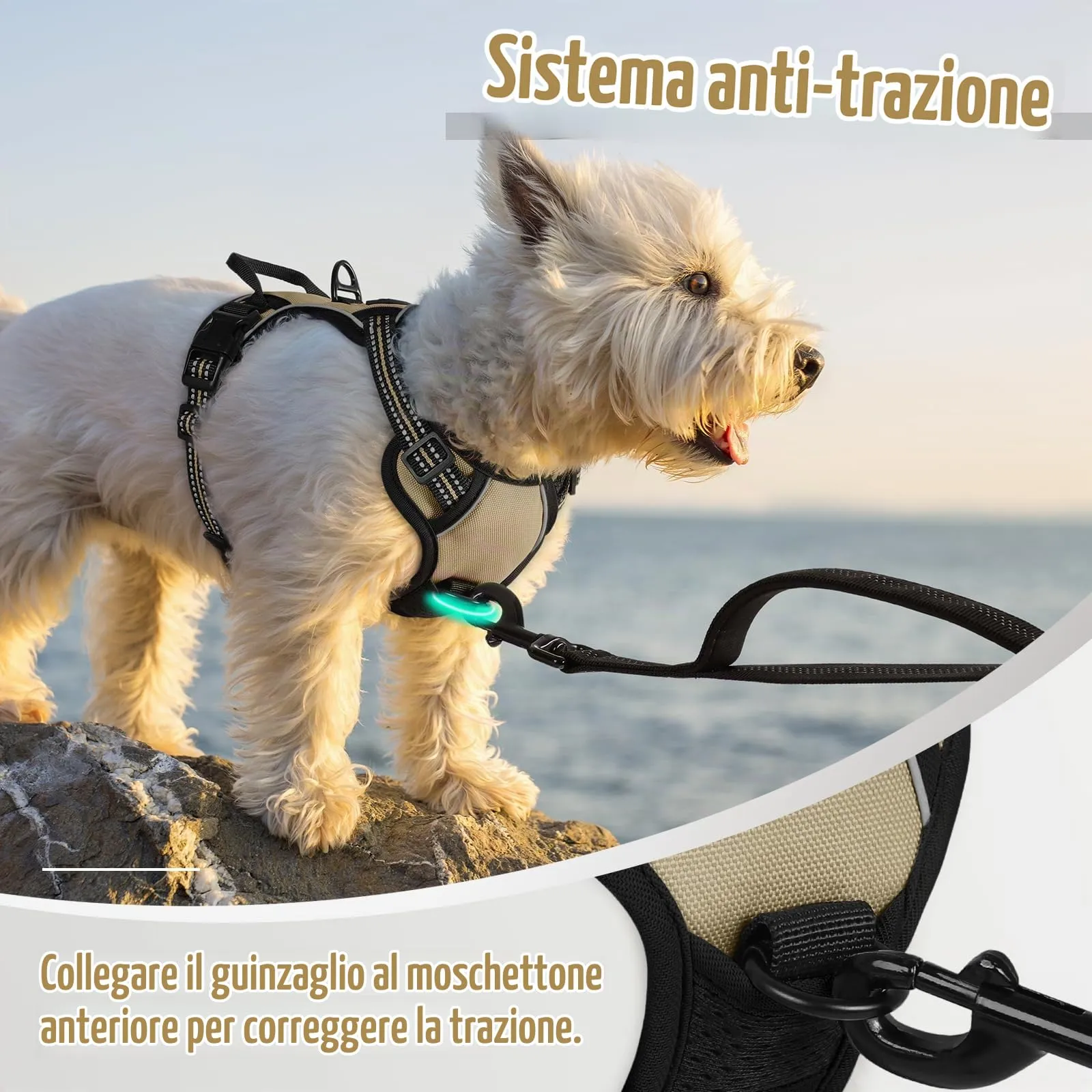 rabbitgoo Pettorina Cane ad H Regolabile, Anti Tiro Riflettente e Traspirante, Cachi, XS - immagine 6