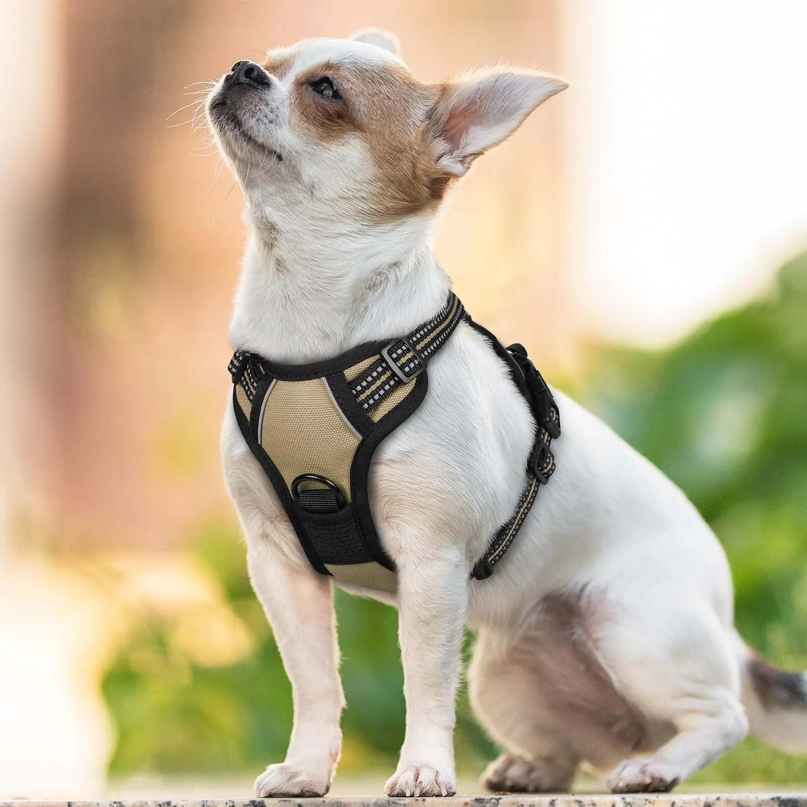 rabbitgoo Pettorina Cane ad H Regolabile, Anti Tiro Riflettente e Traspirante, Cachi, XS - immagine 9