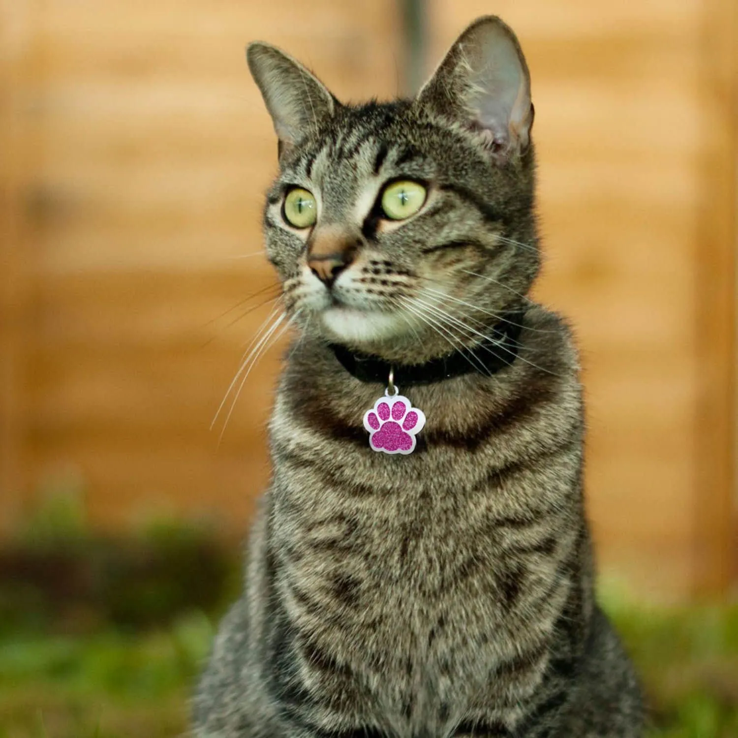 Gruppo Veneziano Targhetta Personalizzata per Cane e Gatto - Zampa - Fuxia - immagine 5