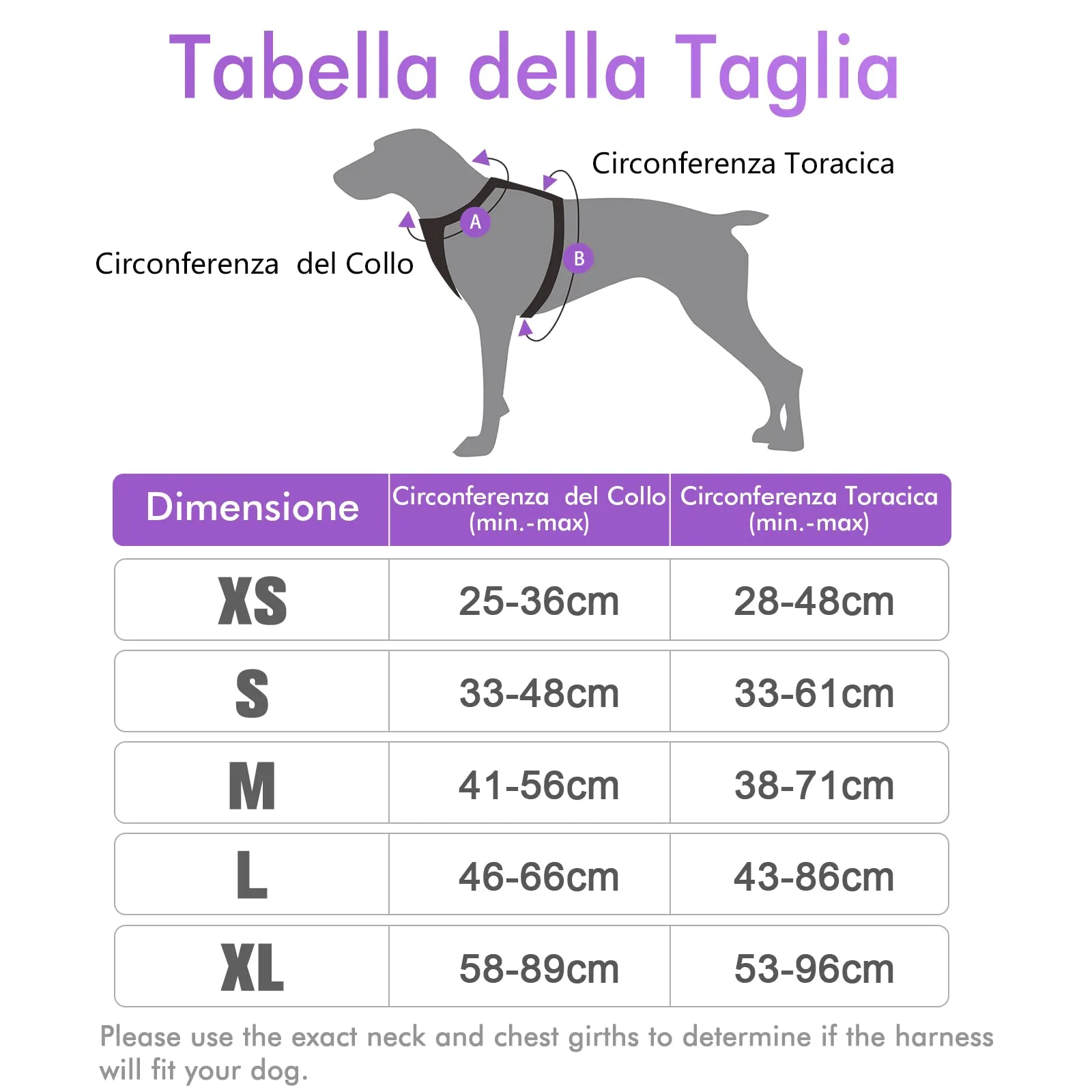 rabbitgoo Pettorina Cane ad h Regolabile Anti Tiro Riflettente, Viola, XS - immagine 2