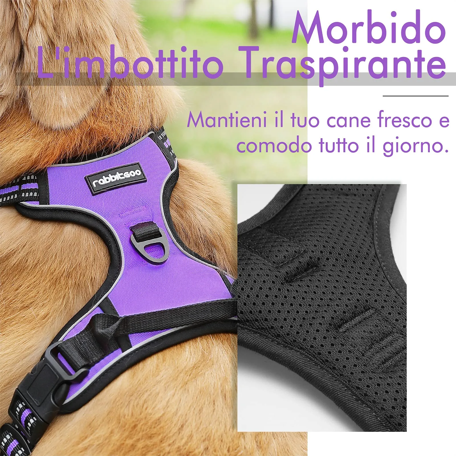rabbitgoo Pettorina Cane ad h Regolabile Anti Tiro Riflettente, Viola, XS - immagine 3