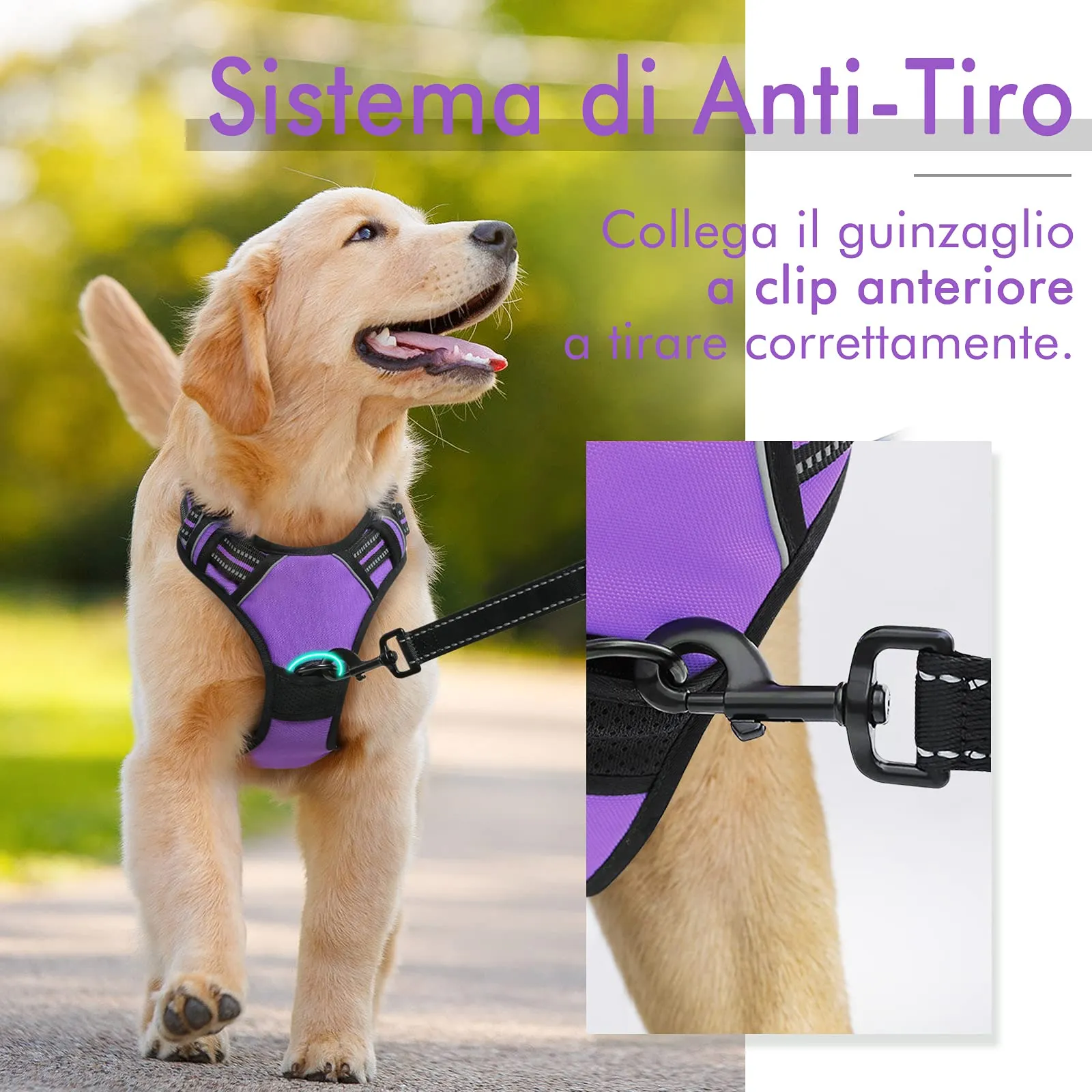 rabbitgoo Pettorina Cane ad h Regolabile Anti Tiro Riflettente, Viola, XS - immagine 5