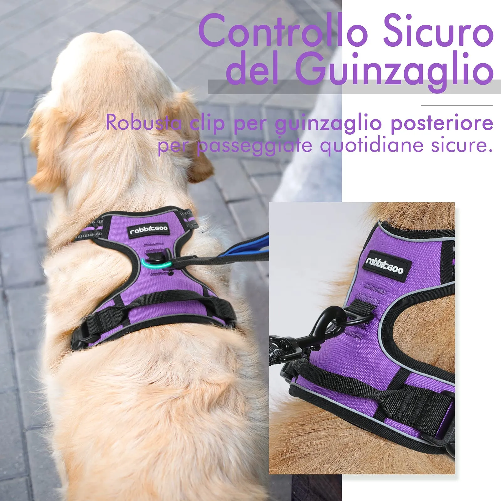 rabbitgoo Pettorina Cane ad h Regolabile Anti Tiro Riflettente, Viola, XS - immagine 6