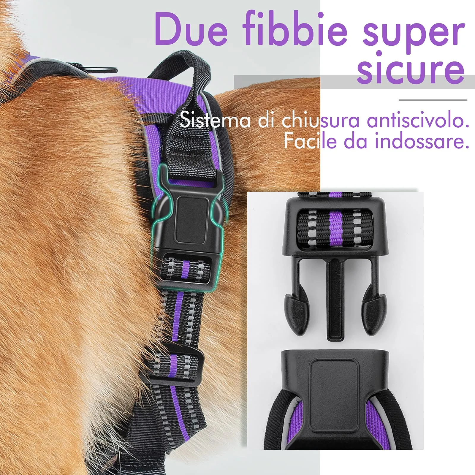 rabbitgoo Pettorina Cane ad h Regolabile Anti Tiro Riflettente, Viola, XS - immagine 7