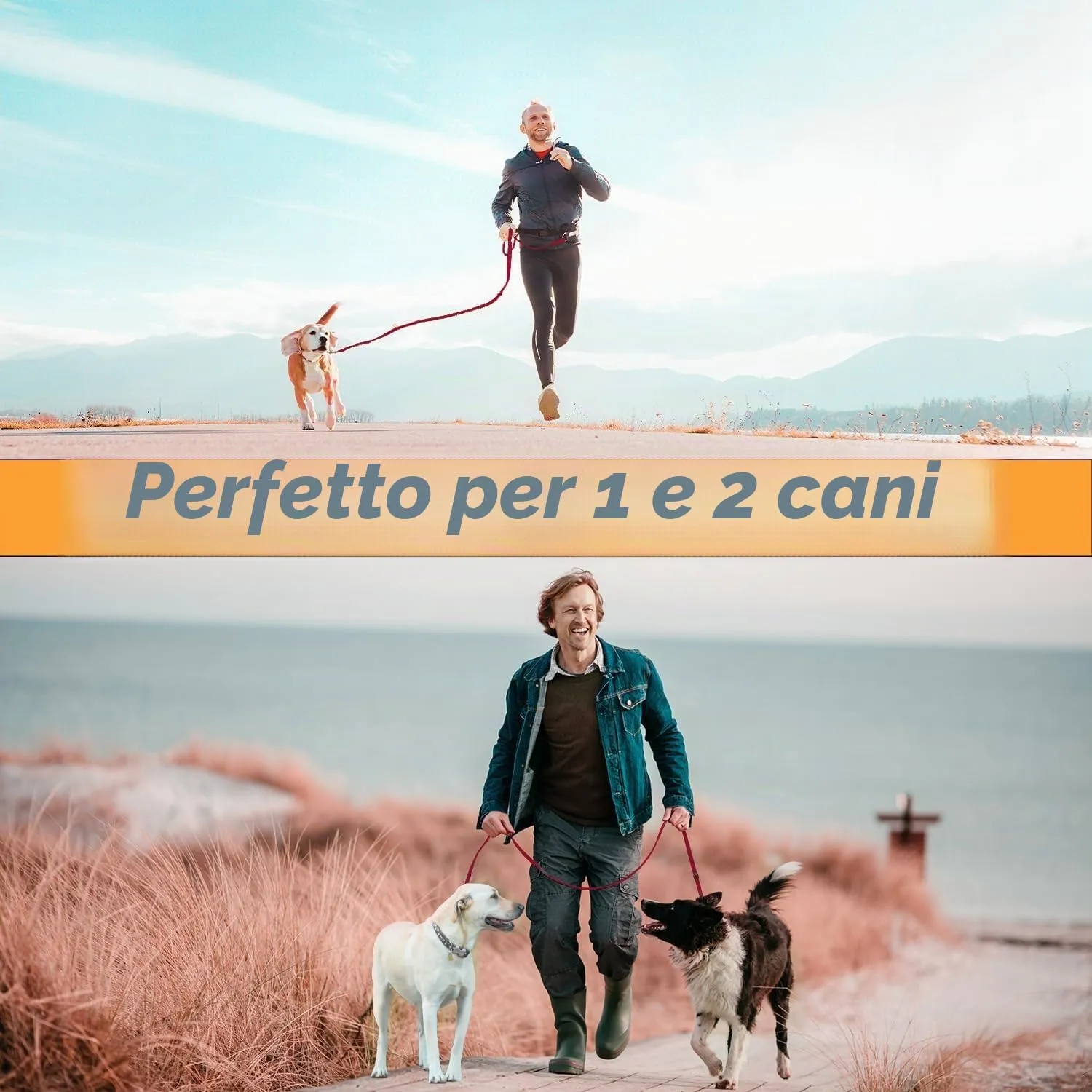 PETCOOZ Guinzaglio Addestramento per Cani 3M Regolabile Multifunzionale, Bordeaux - immagine 8