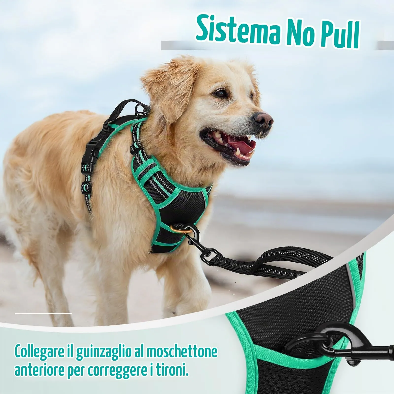 rabbitgoo Pettorina Cane ad H Regolabile, Anti Tiro e Riflettente, Traspirante, Nero + Menta, S - immagine 6