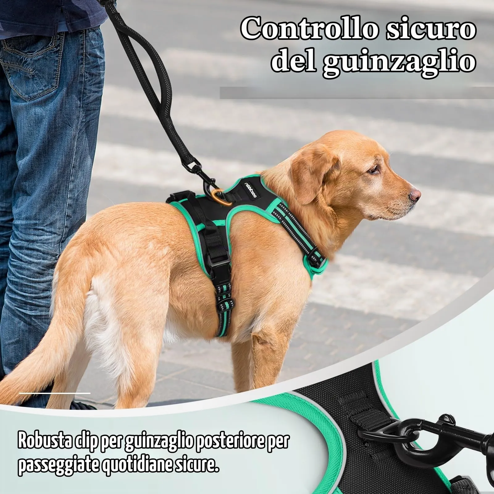 rabbitgoo Pettorina Cane ad H Regolabile, Anti Tiro e Riflettente, Traspirante, Nero + Menta, S - immagine 7