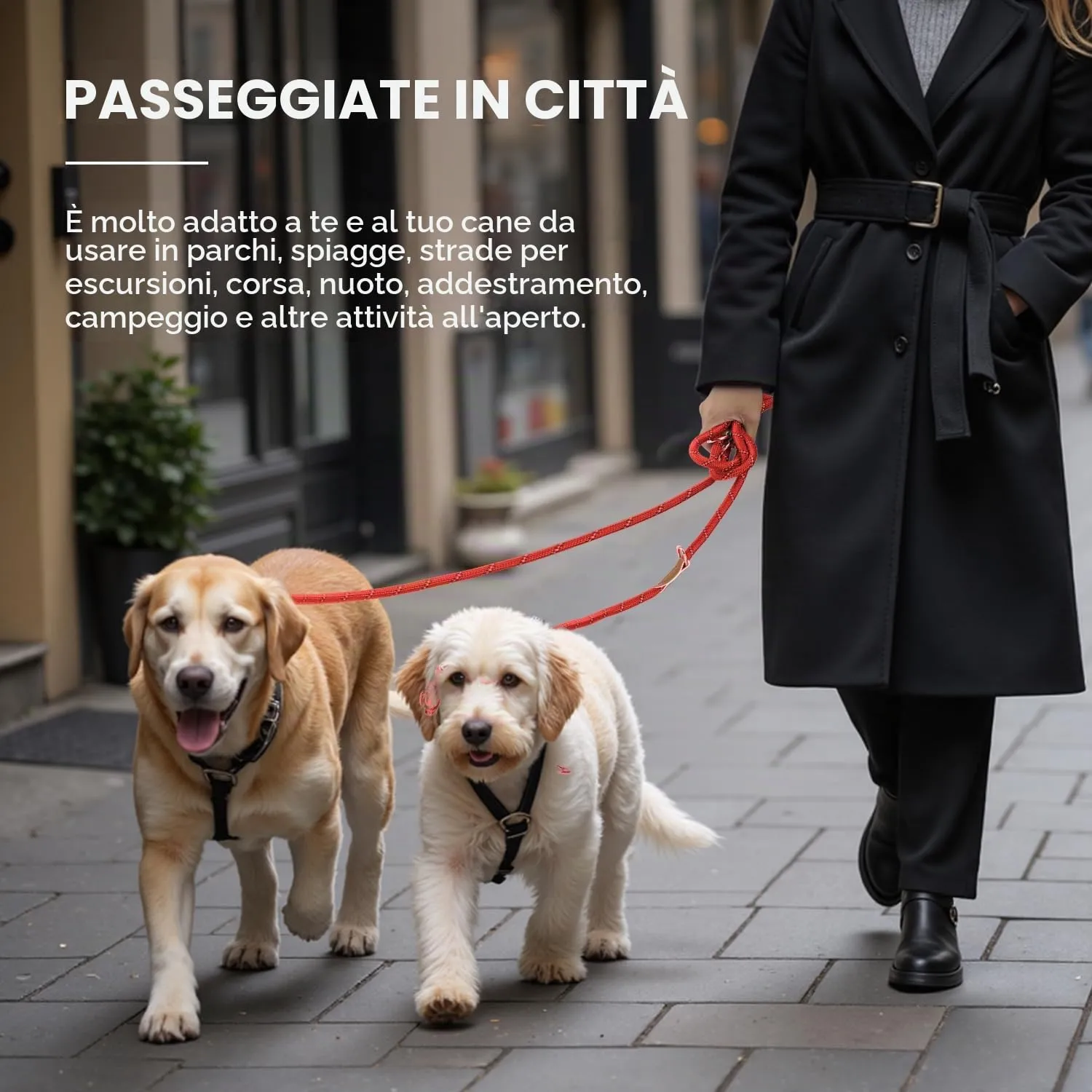 PETCOOZ Guinzaglio Doppio per Cani, 3M Regolabile e Riflettente, Rosso Scuro - immagine 9