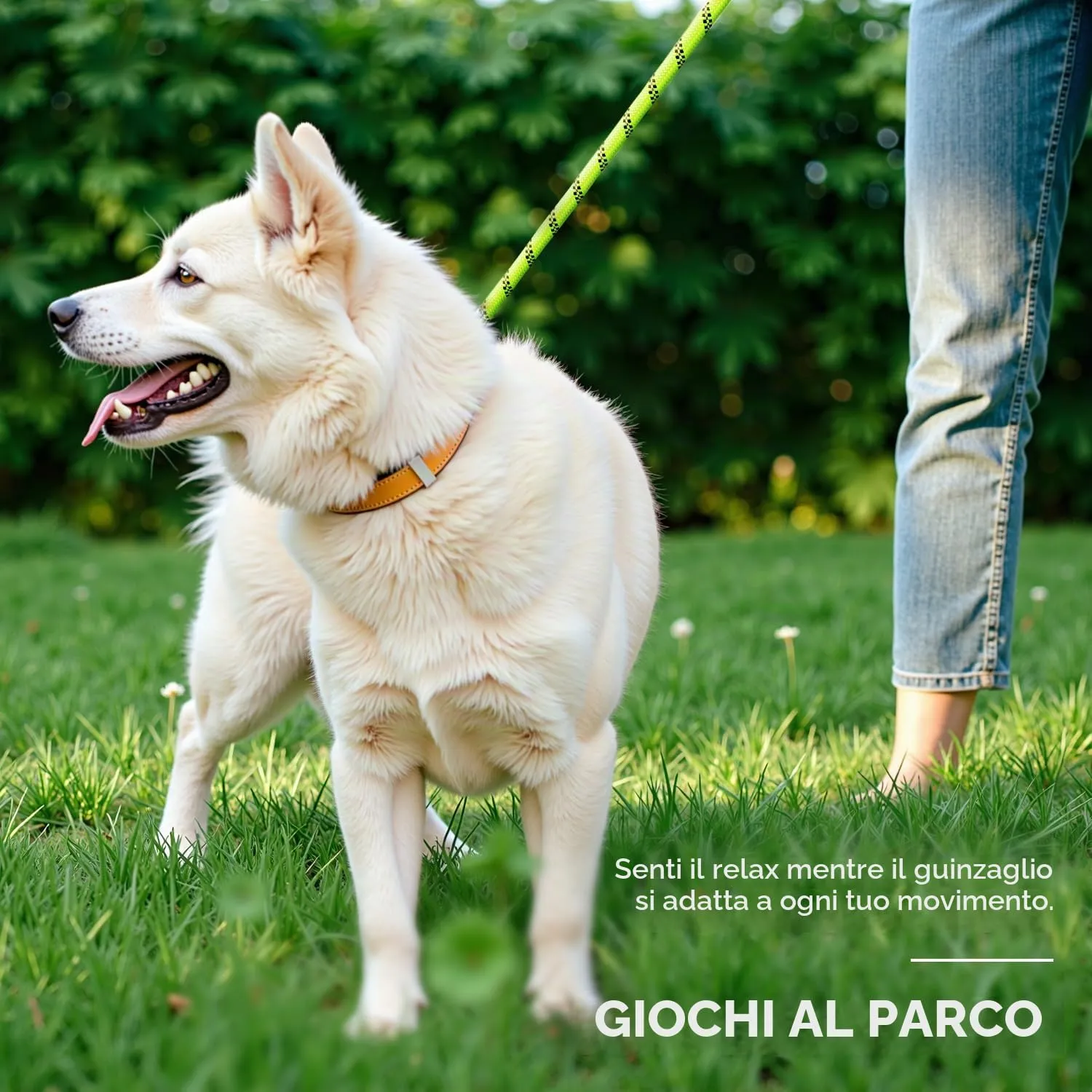 PETCOOZ Guinzaglio Doppio per Cani, 3M Regolabile, Riflettente, Verde Fluo - immagine 8