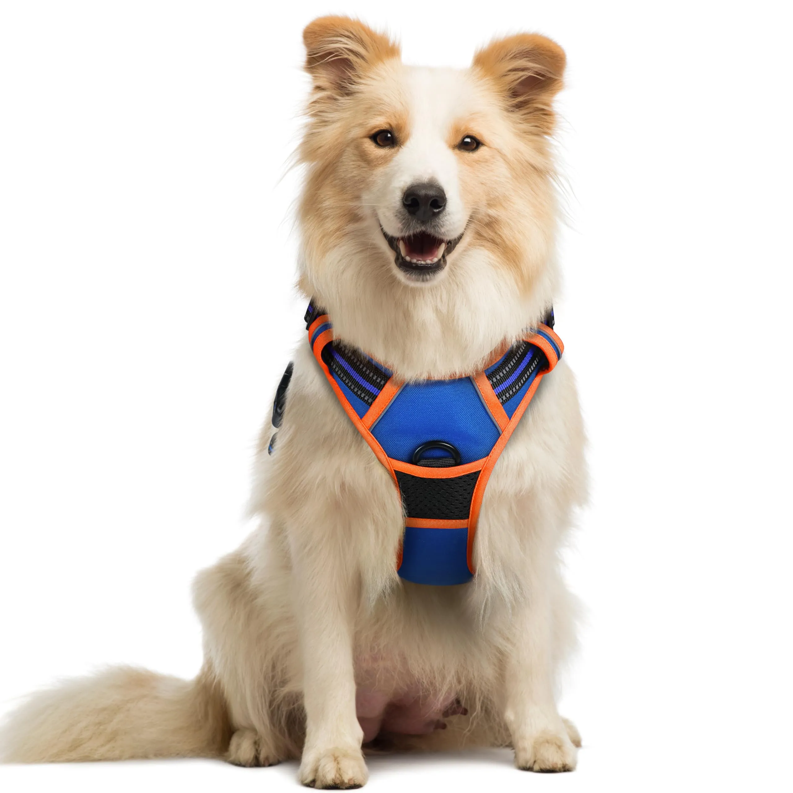 rabbitgoo Pettorina Cane ad H Regolabile Anti Tiro Riflettente, Blu + Arancione, M - immagine 1