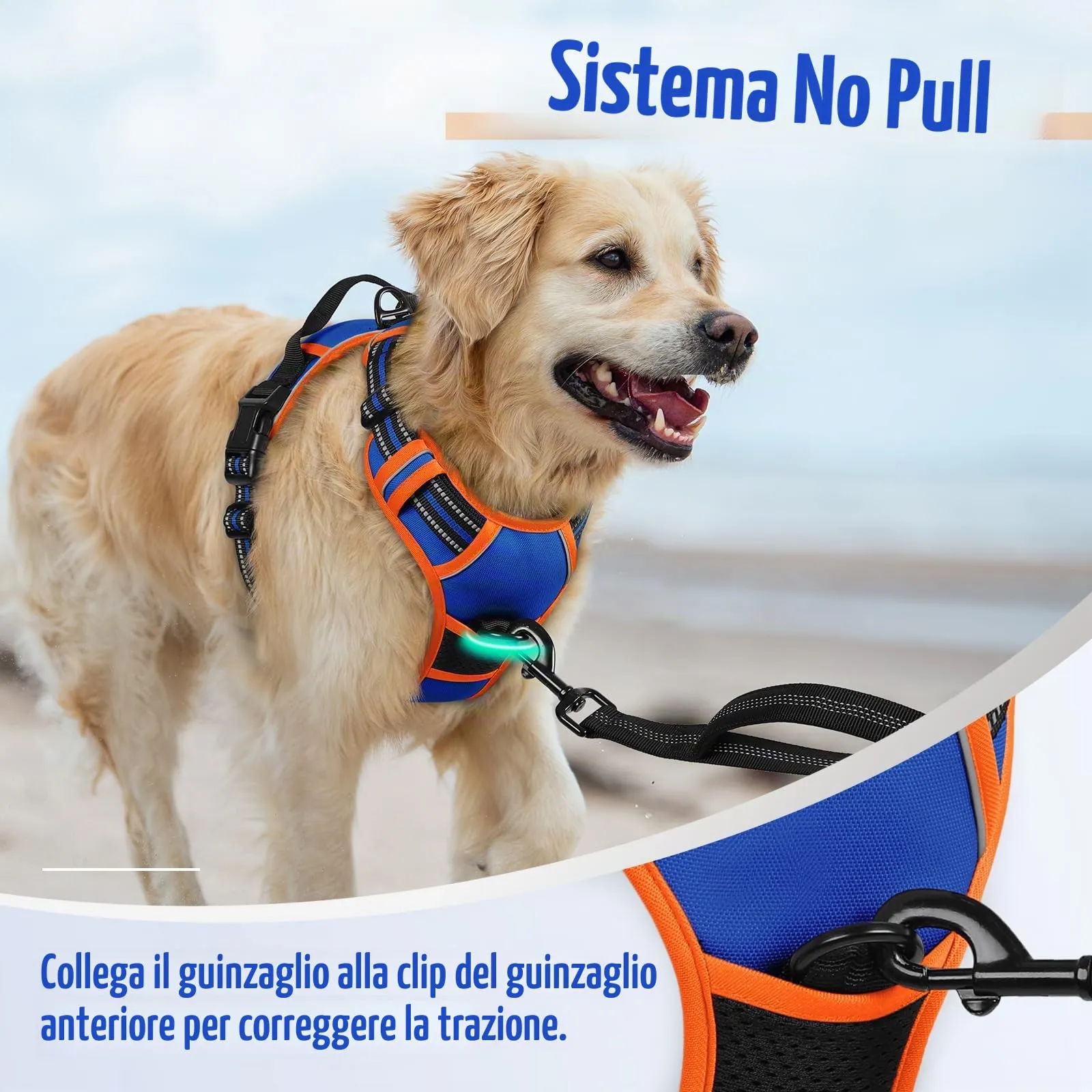 rabbitgoo Pettorina Cane ad H Regolabile Anti Tiro Riflettente, Blu + Arancione, M - immagine 6
