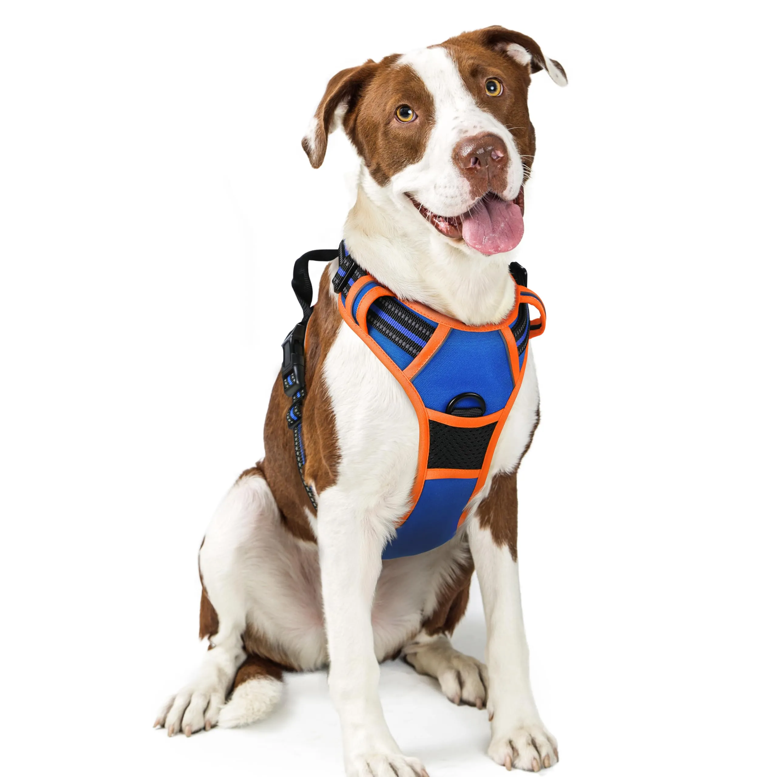 rabbitgoo Pettorina Cane ad H Regolabile Anti Tiro Riflettente, Blu + Arancione, L - immagine 1