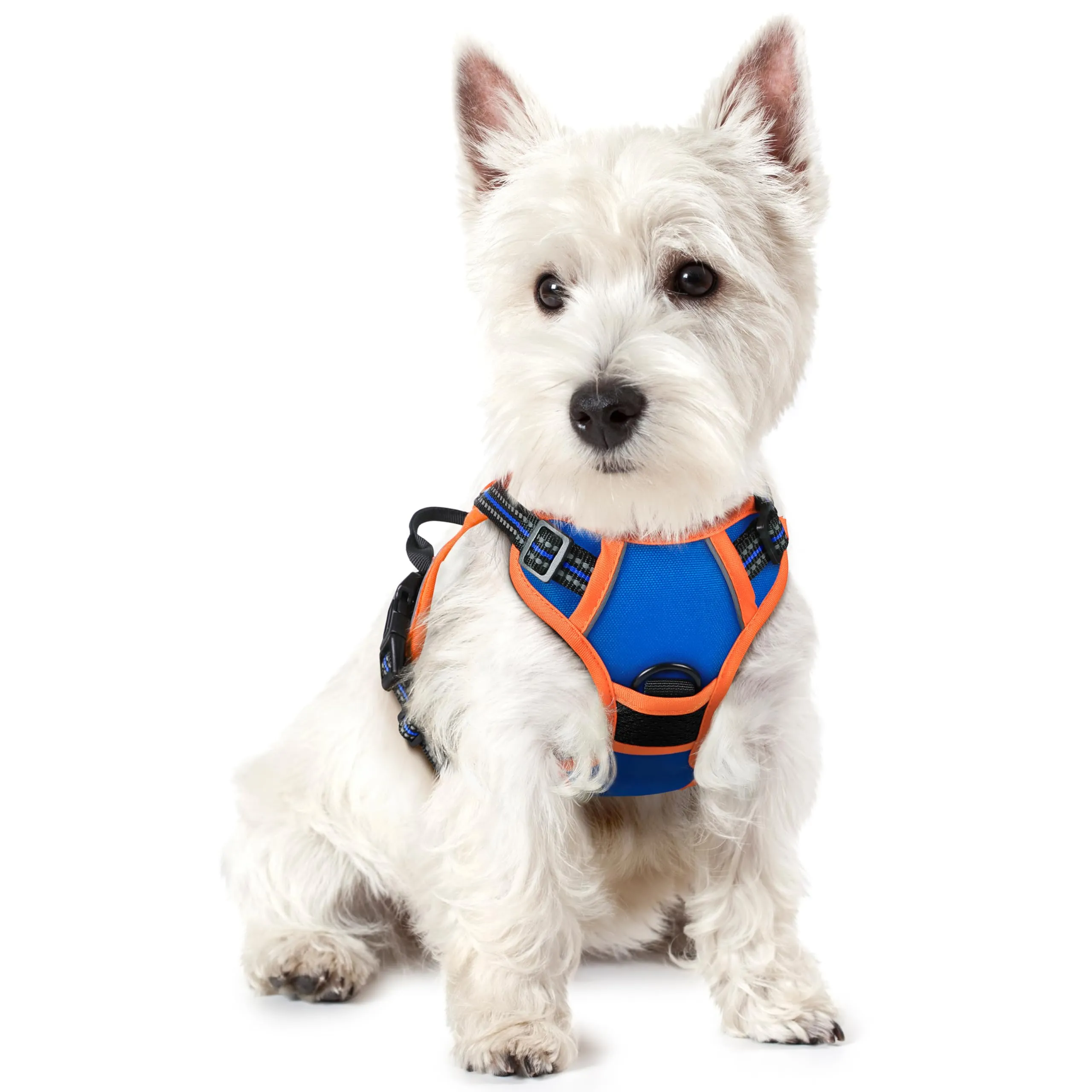 rabbitgoo Pettorina Cane ad H Regolabile Anti Tiro Riflettente, Blu + Arancione, XS - immagine 1