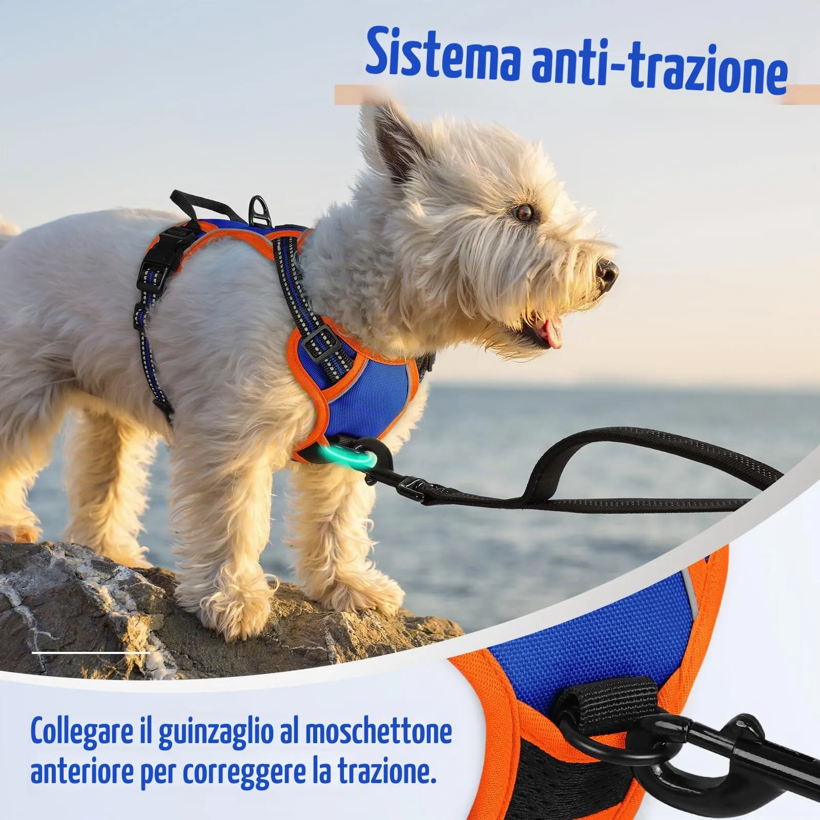 rabbitgoo Pettorina Cane ad H Regolabile Anti Tiro Riflettente, Blu + Arancione, XS - immagine 6