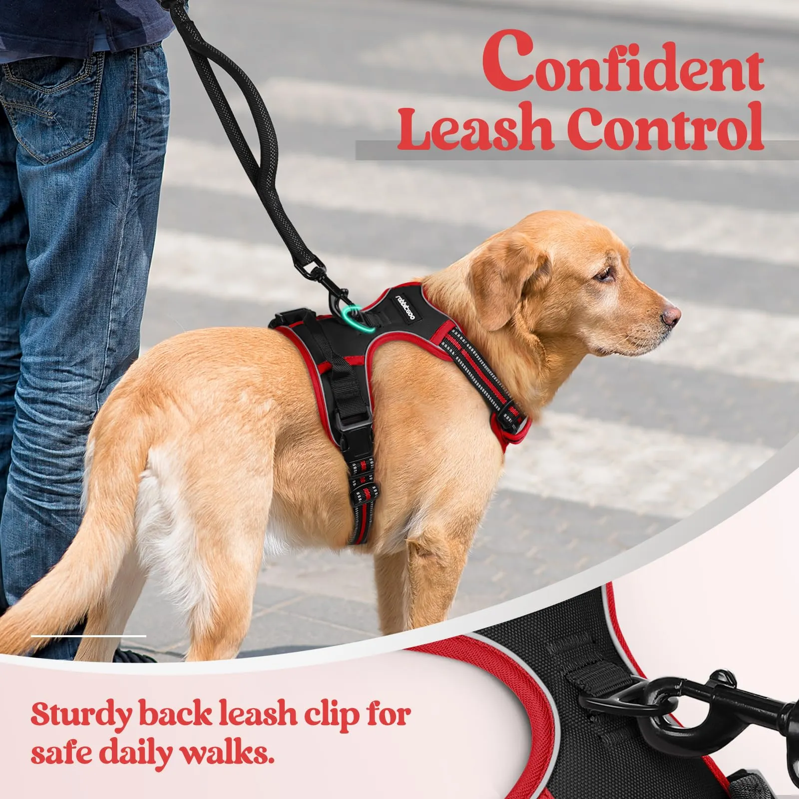 rabbitgoo Pettorina Cane ad h Regolabile, Anti Tiro Riflettente e Traspirante, Nero + Rosso, S - immagine 7