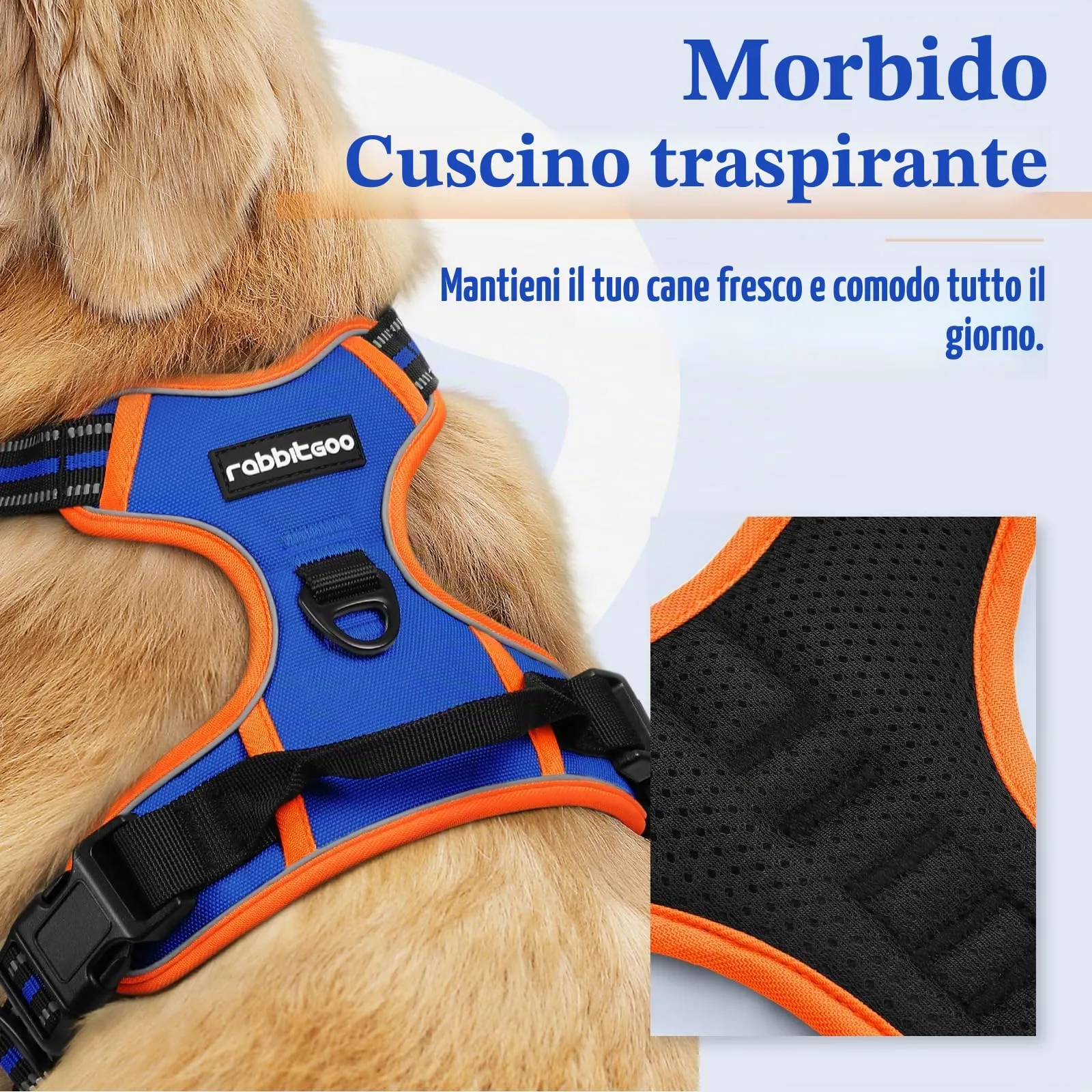 rabbitgoo Pettorina Cane ad H Regolabile Anti Tiro Riflettente, Blu + Arancione, S - immagine 3