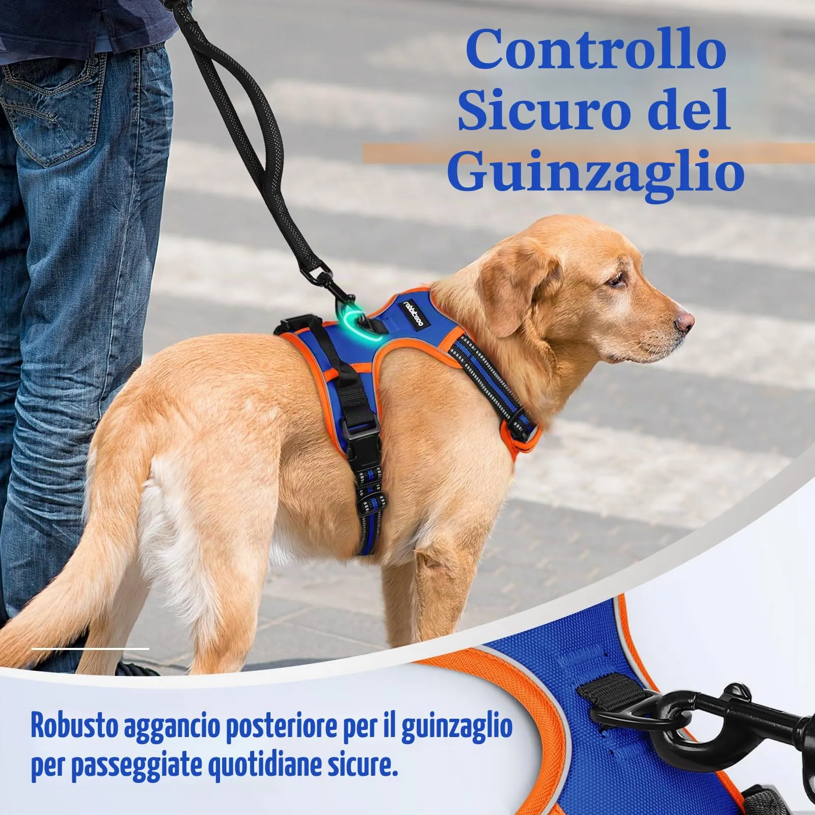 rabbitgoo Pettorina Cane ad H Regolabile Anti Tiro Riflettente, Blu + Arancione, S - immagine 7