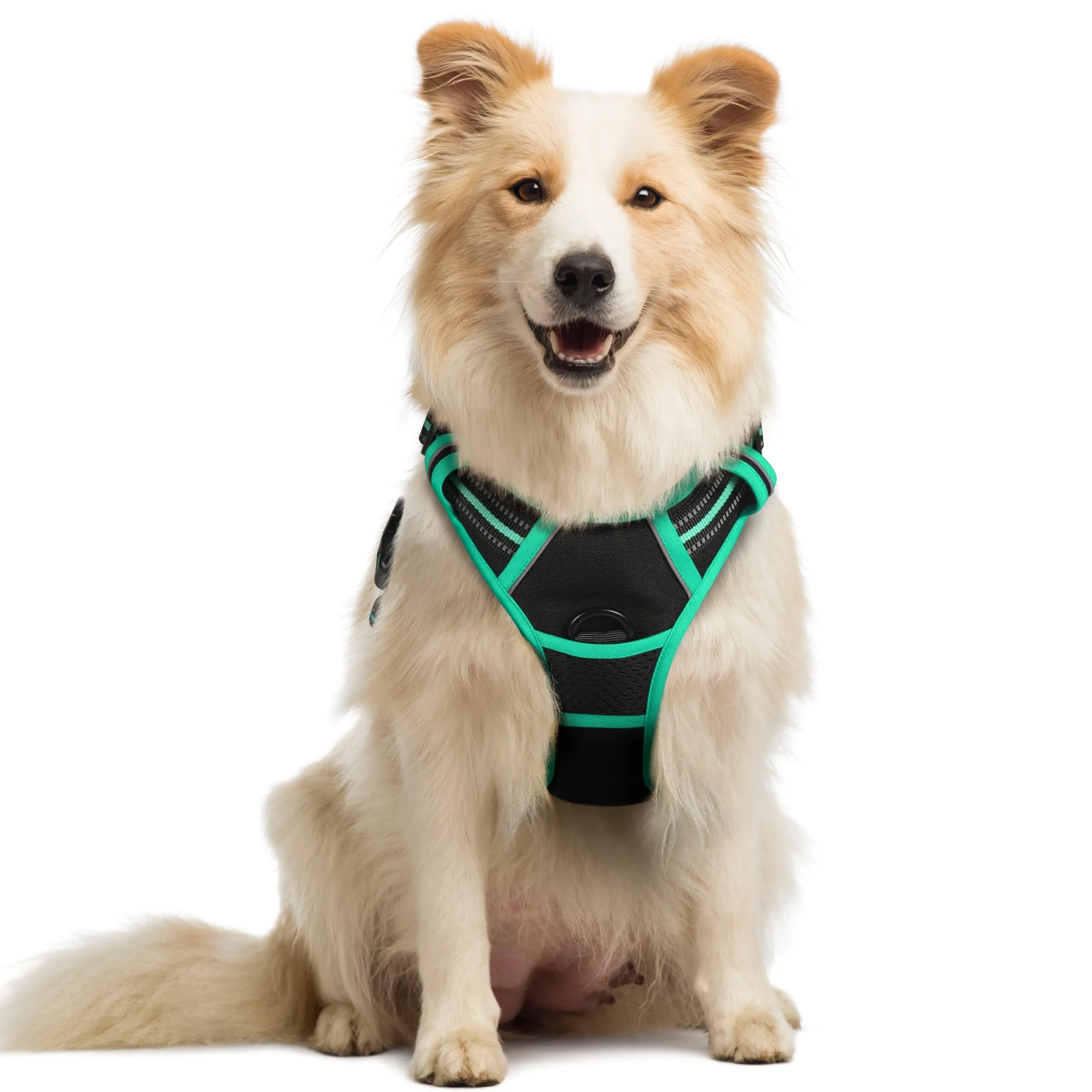 rabbitgoo Pettorina Cane ad H Regolabile, Anti Tiro Riflettente e Traspirante, Nero + Menta, M - immagine 1