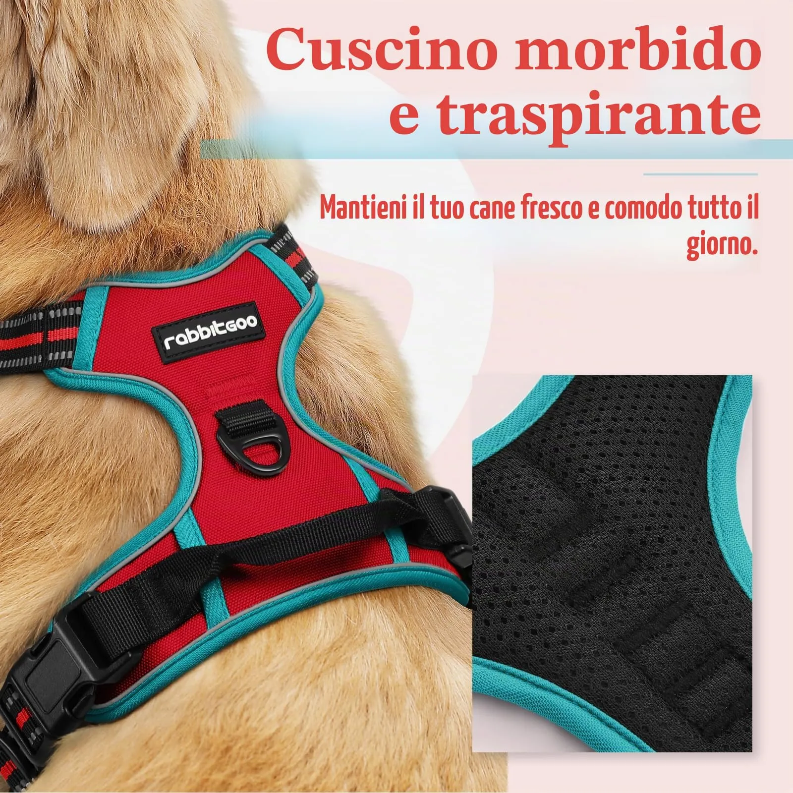 rabbitgoo Pettorina Cane ad H Regolabile Anti Tiro Riflettente, Rosso + Blu Pavone, L - immagine 3
