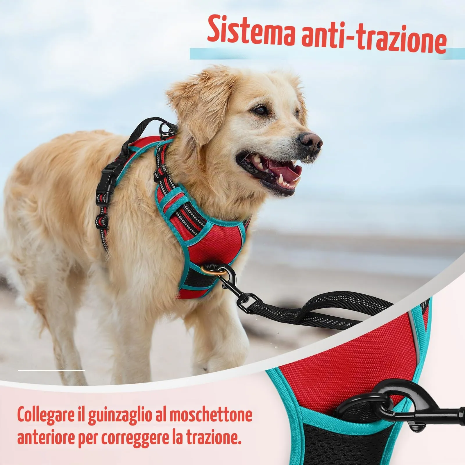 rabbitgoo Pettorina Cane ad H Regolabile Anti Tiro Riflettente, Rosso + Blu Pavone, L - immagine 6