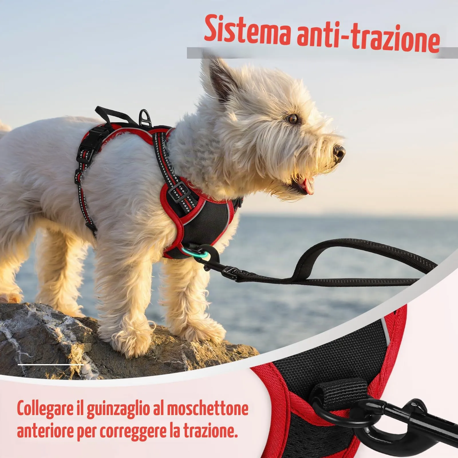 rabbitgoo Pettorina Cane ad H Regolabile, Anti Tiro e Riflettente, Traspirante, Nero + Rosso, XS - immagine 6
