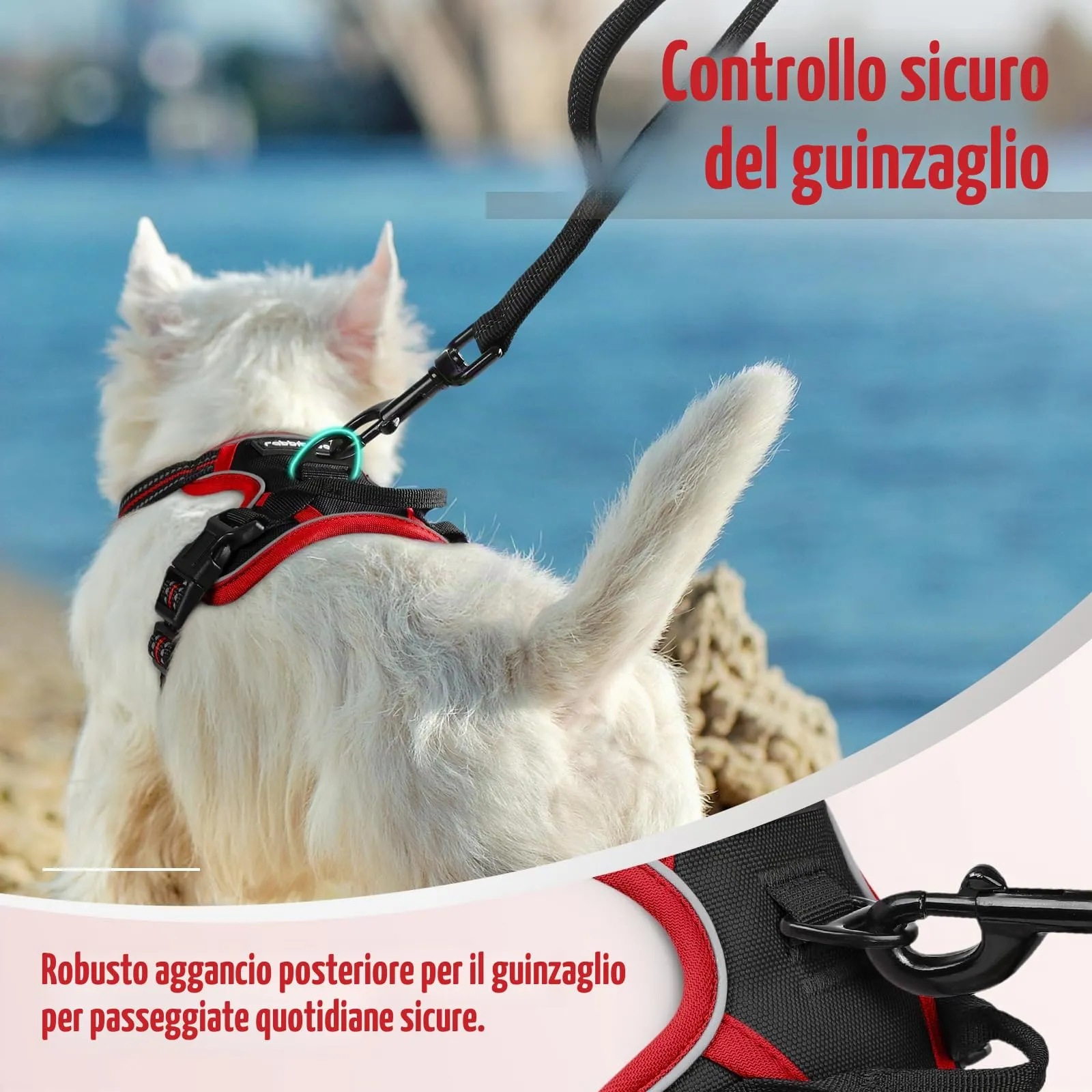 rabbitgoo Pettorina Cane ad H Regolabile, Anti Tiro e Riflettente, Traspirante, Nero + Rosso, XS - immagine 7
