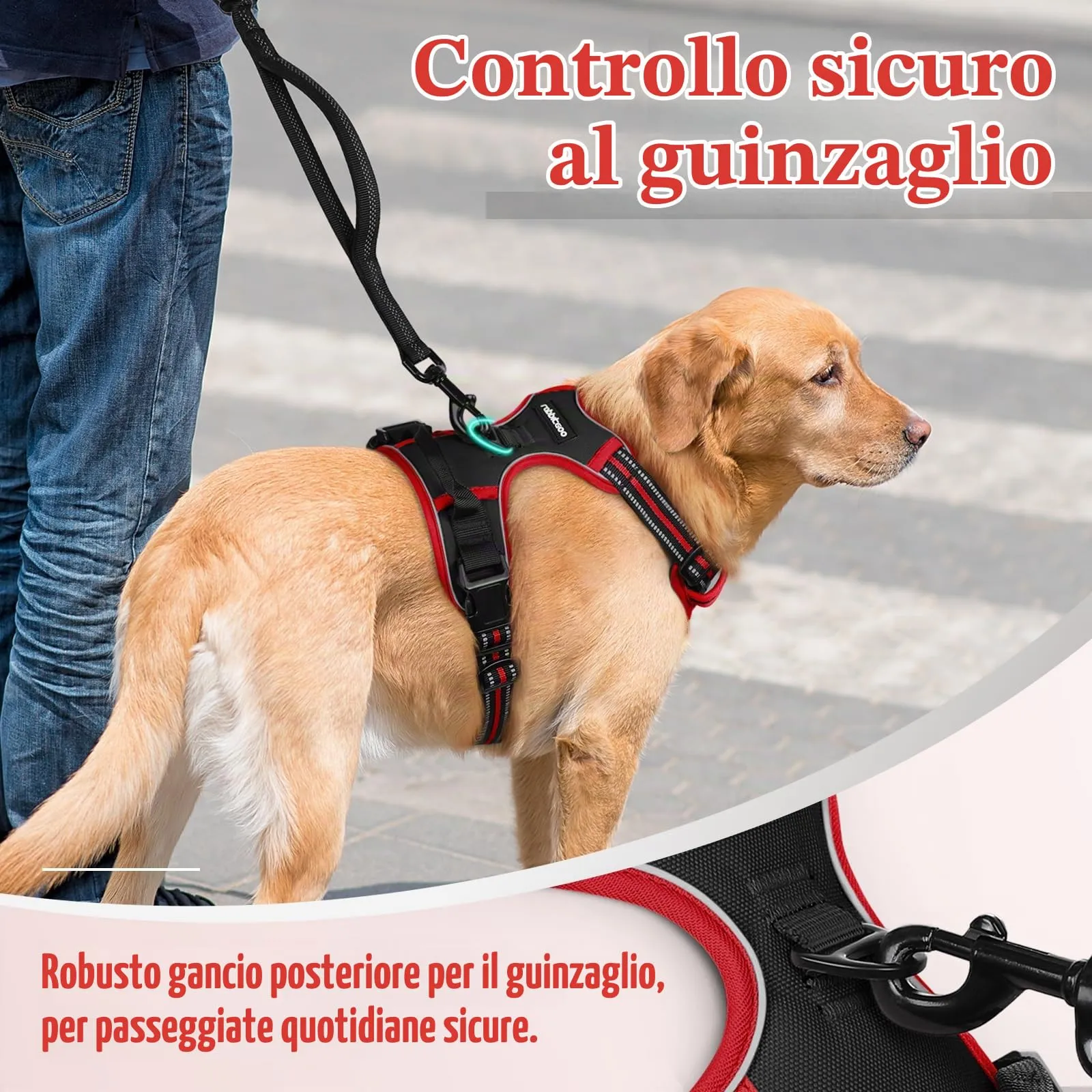 rabbitgoo Pettorina Cane ad H Regolabile, Anti Tiro e Riflettente, Nero + Rosso, M - immagine 7