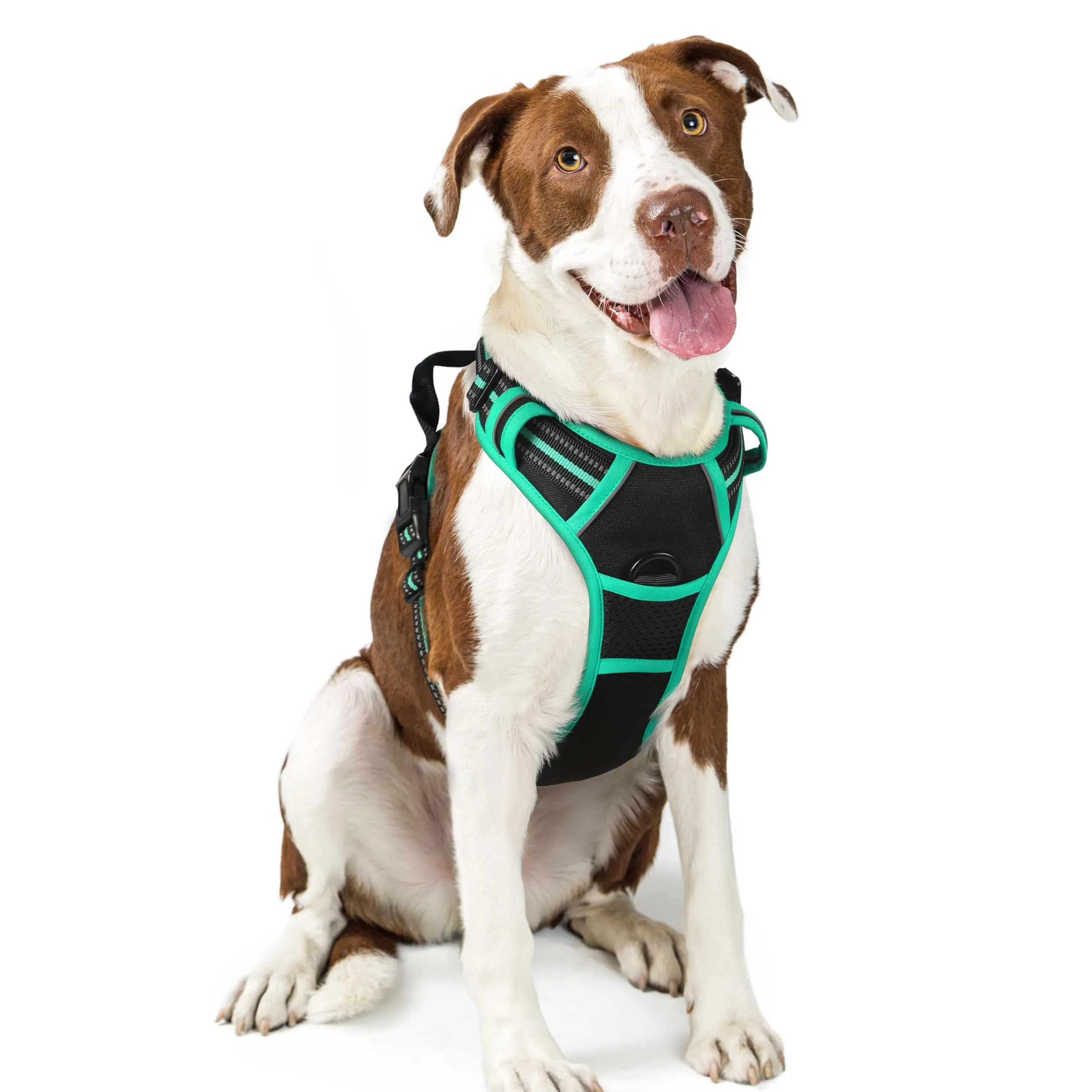 rabbitgoo Pettorina Cane ad H Regolabile Anti Tiro Riflettente, Nero + Menta, L - immagine 1