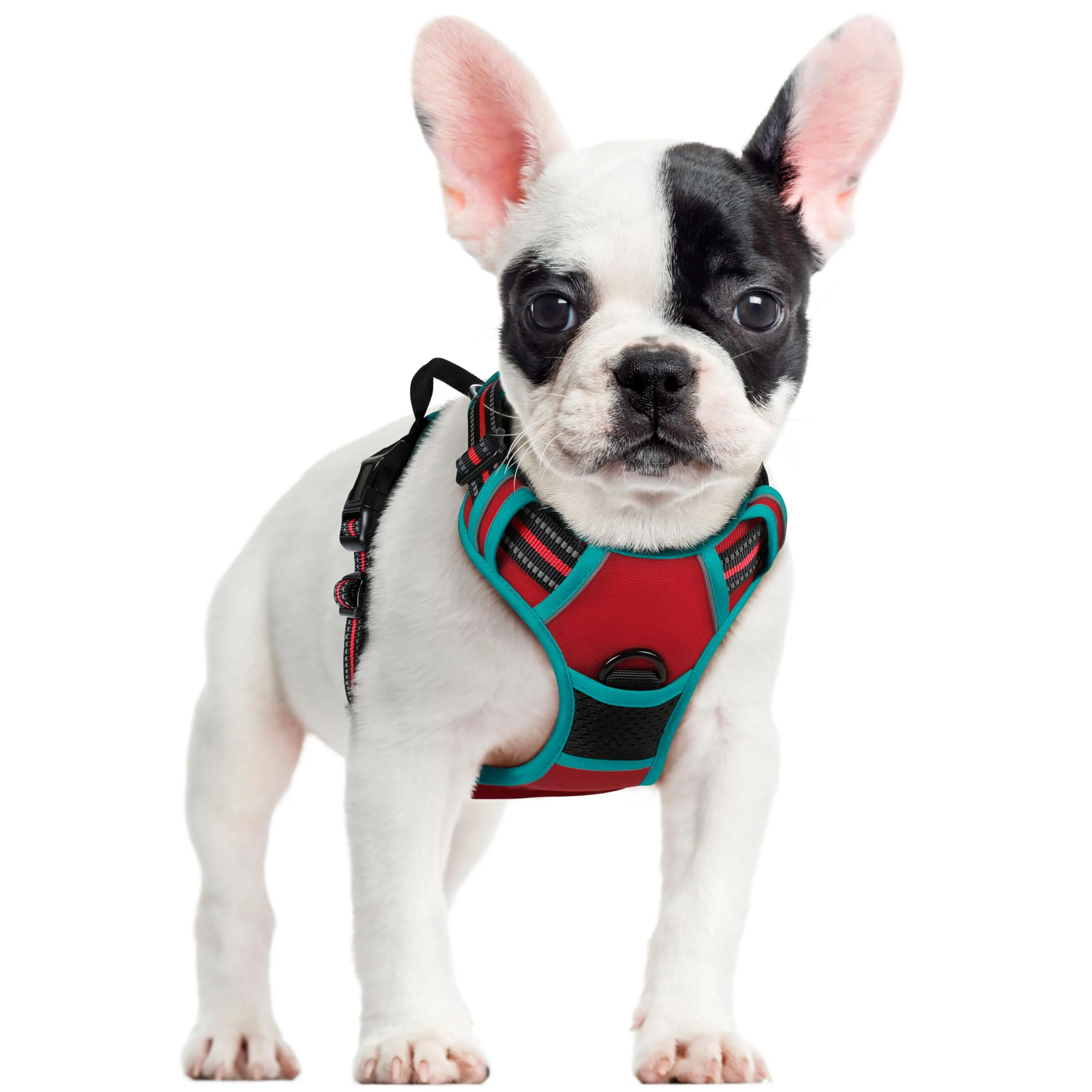 rabbitgoo Pettorina Cane ad H Regolabile Anti Tiro Riflettente, Rosso + Blu Pavone, S - immagine 1