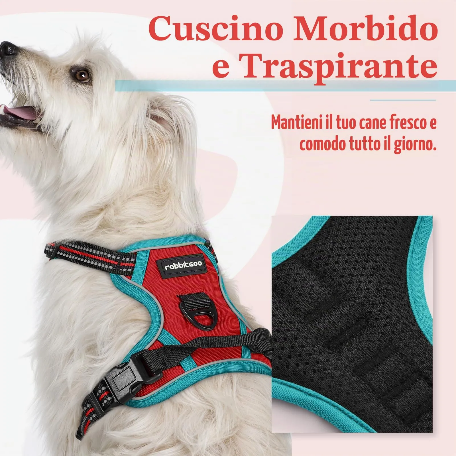 rabbitgoo Pettorina Cane ad H Regolabile Anti Tiro Riflettente, Rosso + Blu Pavone, XS - immagine 3