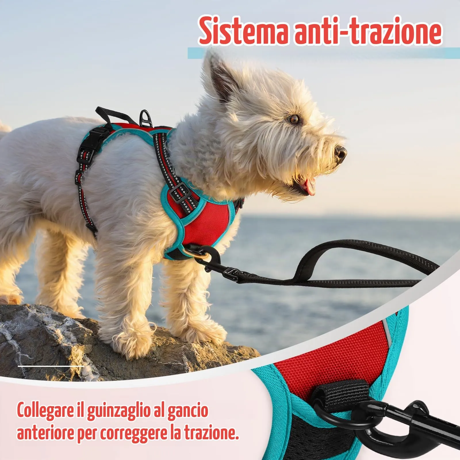 rabbitgoo Pettorina Cane ad H Regolabile Anti Tiro Riflettente, Rosso + Blu Pavone, XS - immagine 6