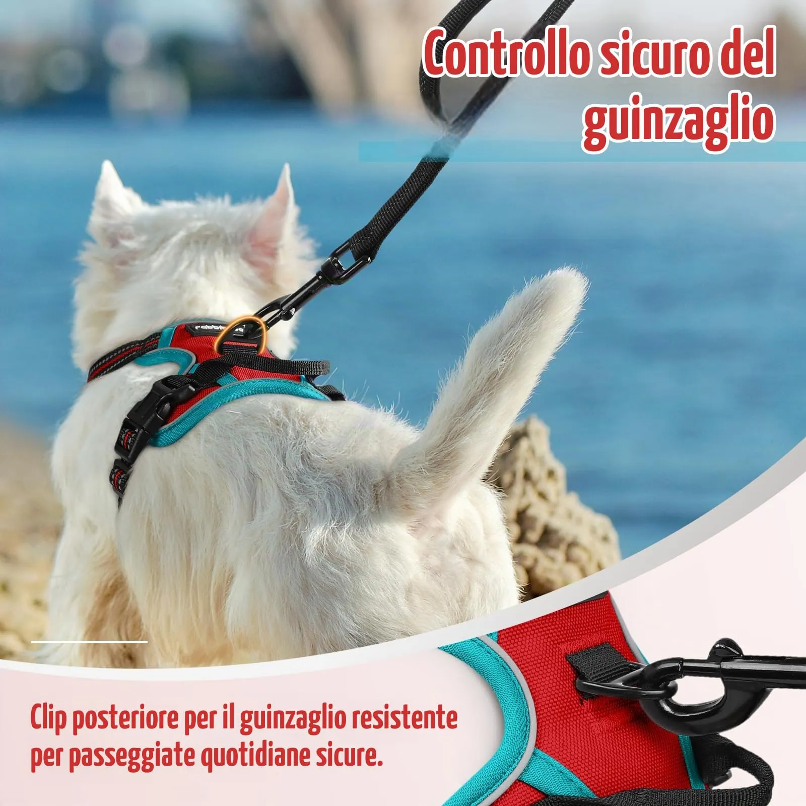rabbitgoo Pettorina Cane ad H Regolabile Anti Tiro Riflettente, Rosso + Blu Pavone, XS - immagine 7