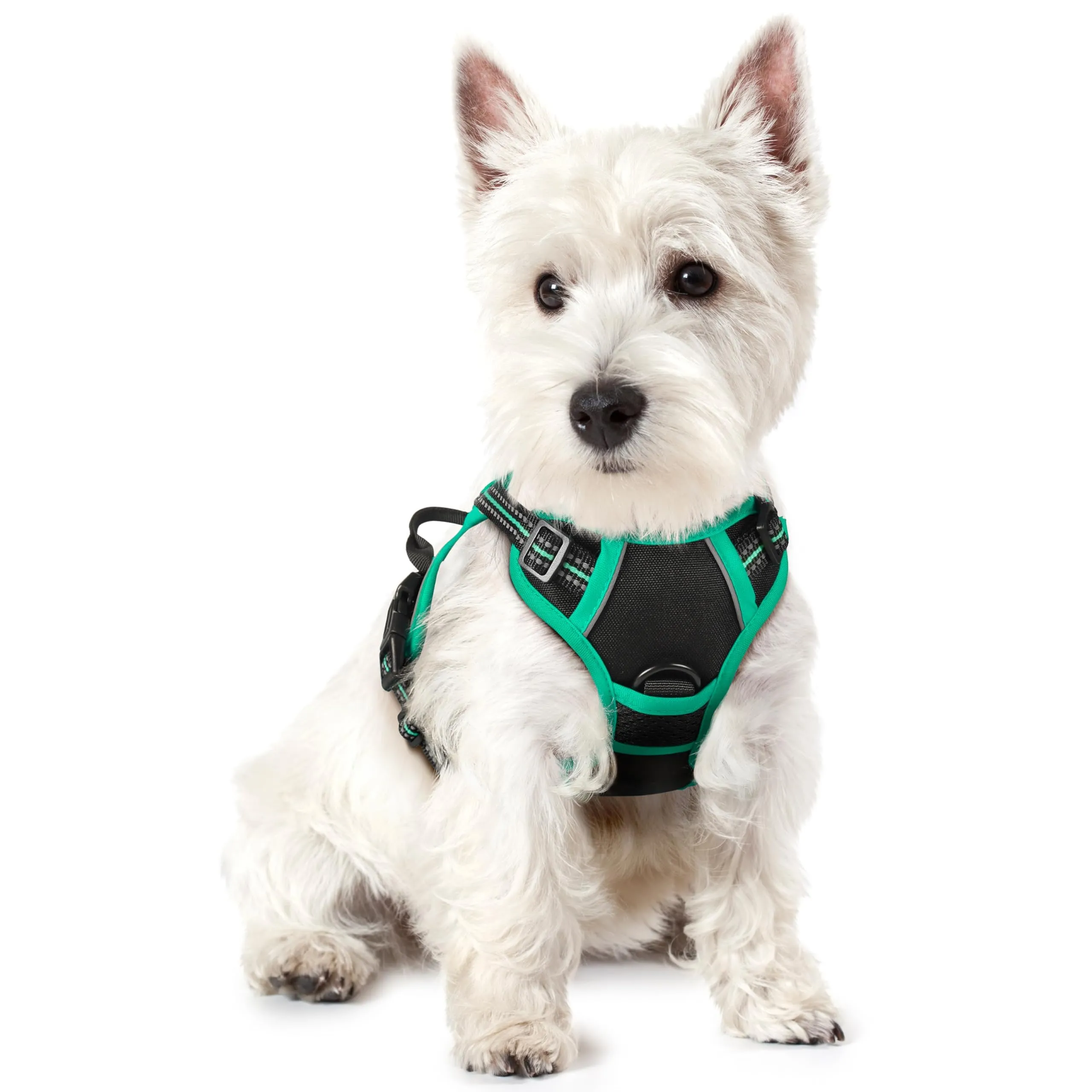 rabbitgoo Pettorina Cane ad H Regolabile Anti Tiro Riflettente, Nero + Menta, XS - immagine 1