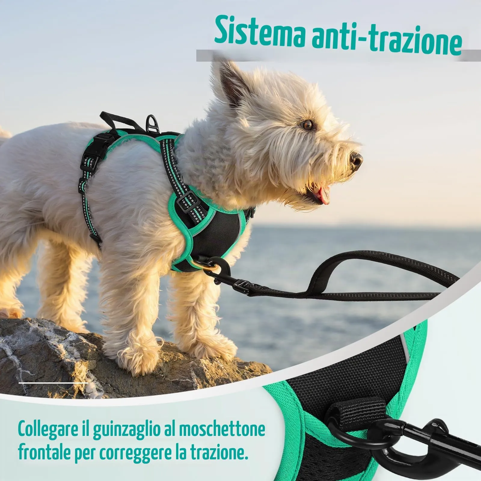 rabbitgoo Pettorina Cane ad H Regolabile Anti Tiro Riflettente, Nero + Menta, XS - immagine 6