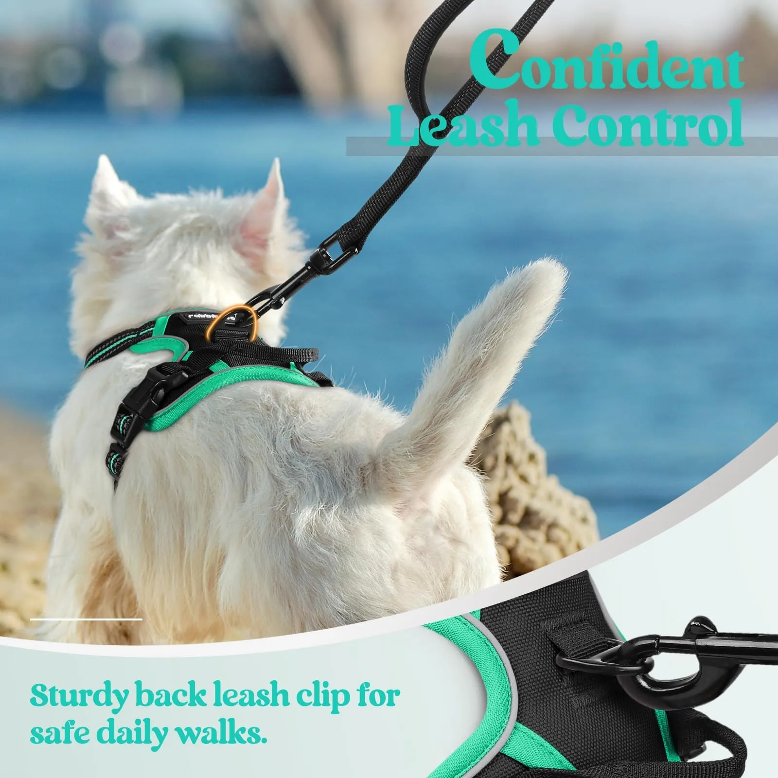 rabbitgoo Pettorina Cane ad H Regolabile Anti Tiro Riflettente, Nero + Menta, XS - immagine 7
