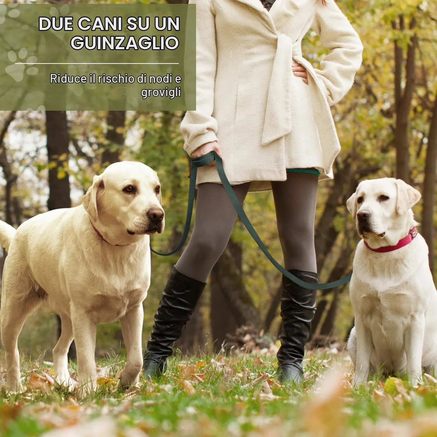 PETCOOZ Guinzaglio Addestramento per Cani Doppio, 3M Regolabile, Multifunzionale - immagine 3