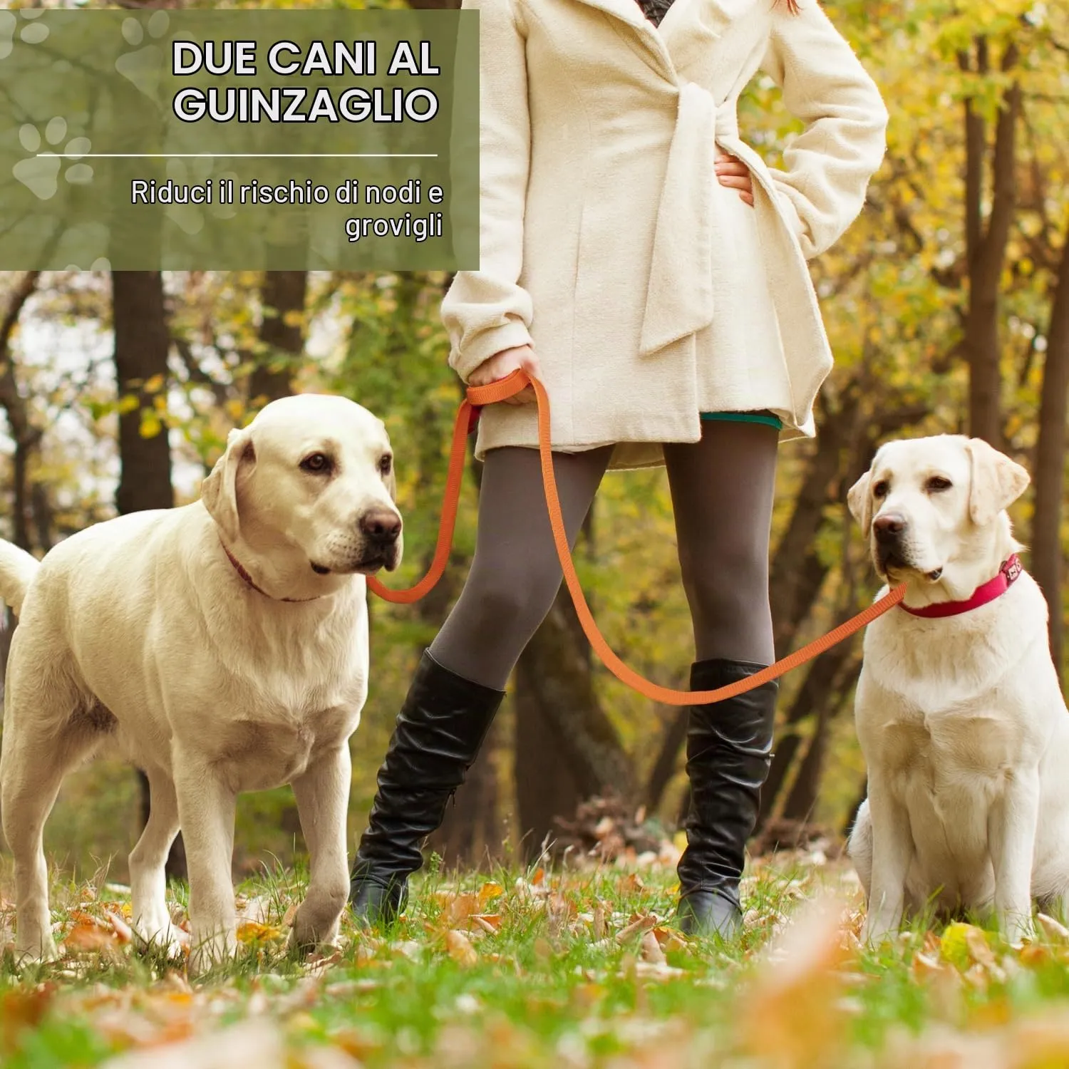 PETCOOZ Guinzaglio Addestramento Multifunzionale per Cani, Doppio, Regolabile 3M, Arancione - immagine 3