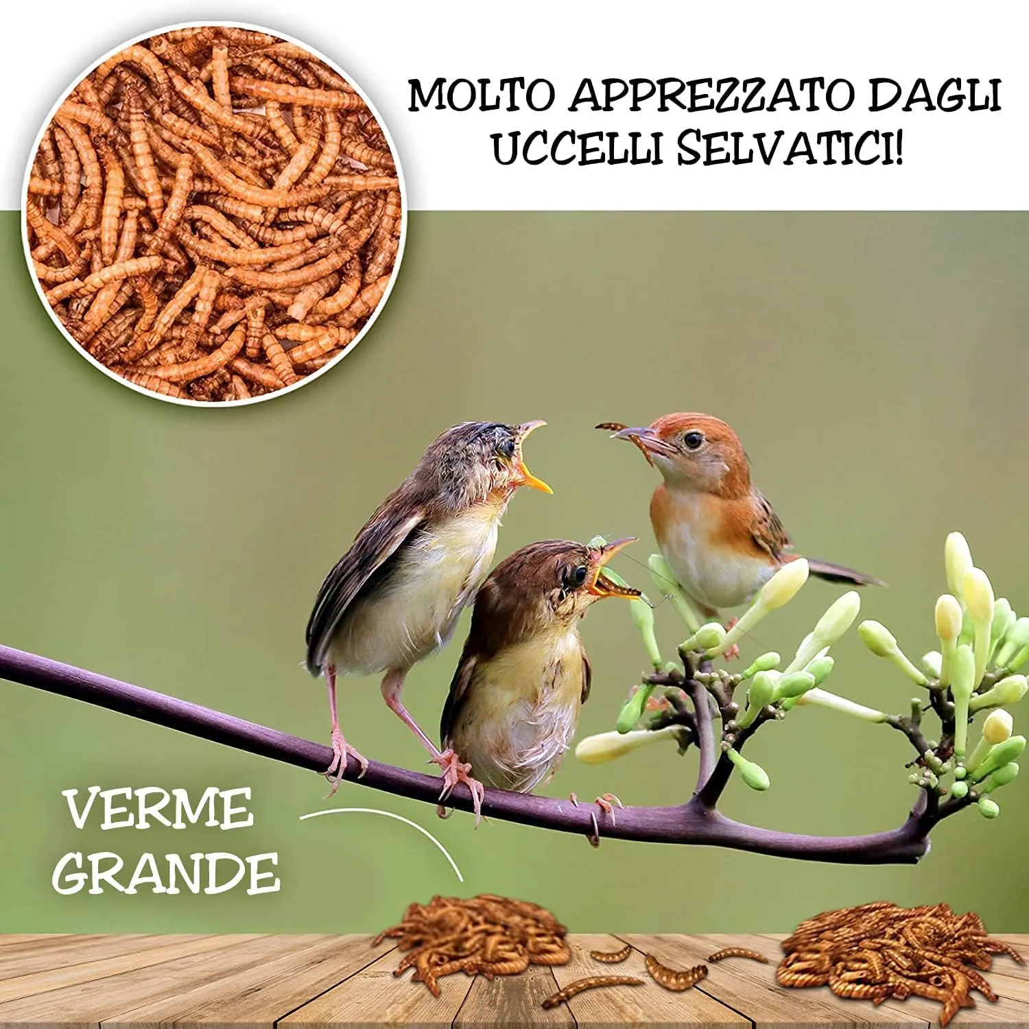 Detox Organica Camole della Farina Essiccate 160g - immagine 4