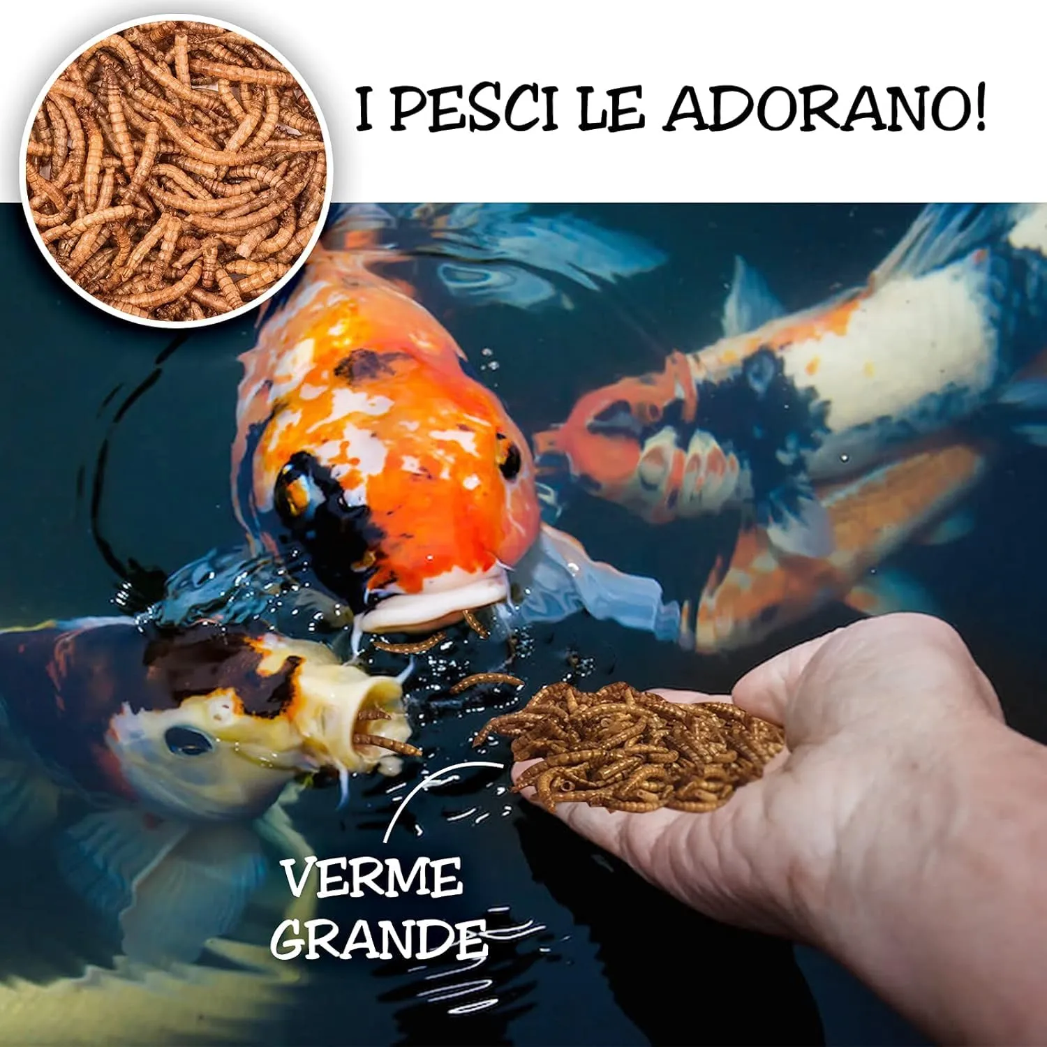 Detox Organica Camole della Farina Essiccate 160g - immagine 8