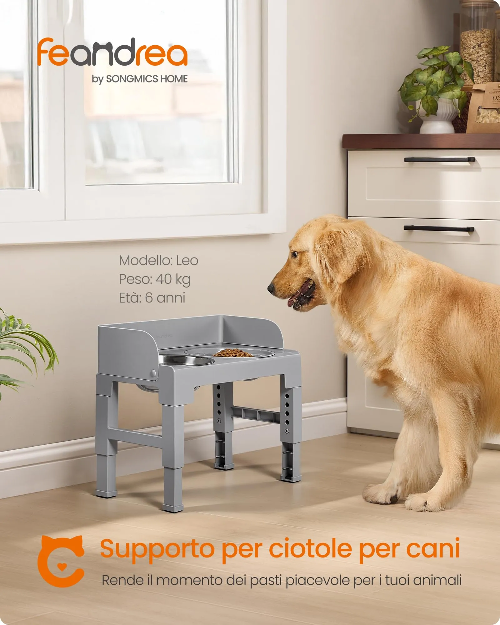 Feandrea Ciotole Rialzate per Cani con 1 Ciotola Slow Feeder e 2 in Acciaio Inox 304, Altezza e Inclinazione Regolabili, Grigio Tortora PRB103GD01 - immagine 2