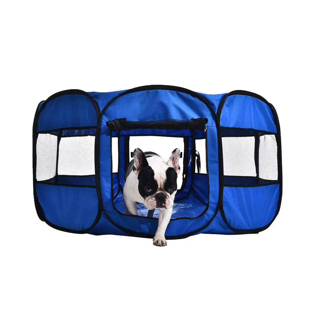 Amazon Basics Recinto Portatile Ottagonale per Animali Domestici, 114 cm, Blu - immagine 7