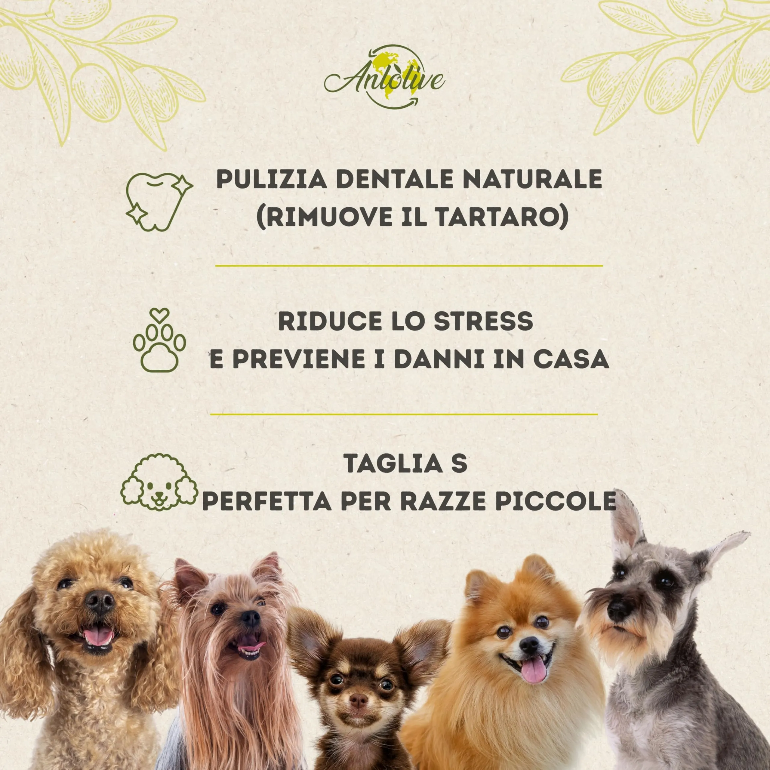Anlolive Set 3 Giochi da Masticare in Legno d’Ulivo per Cani Piccoli, Taglia S 15 cm - immagine 4