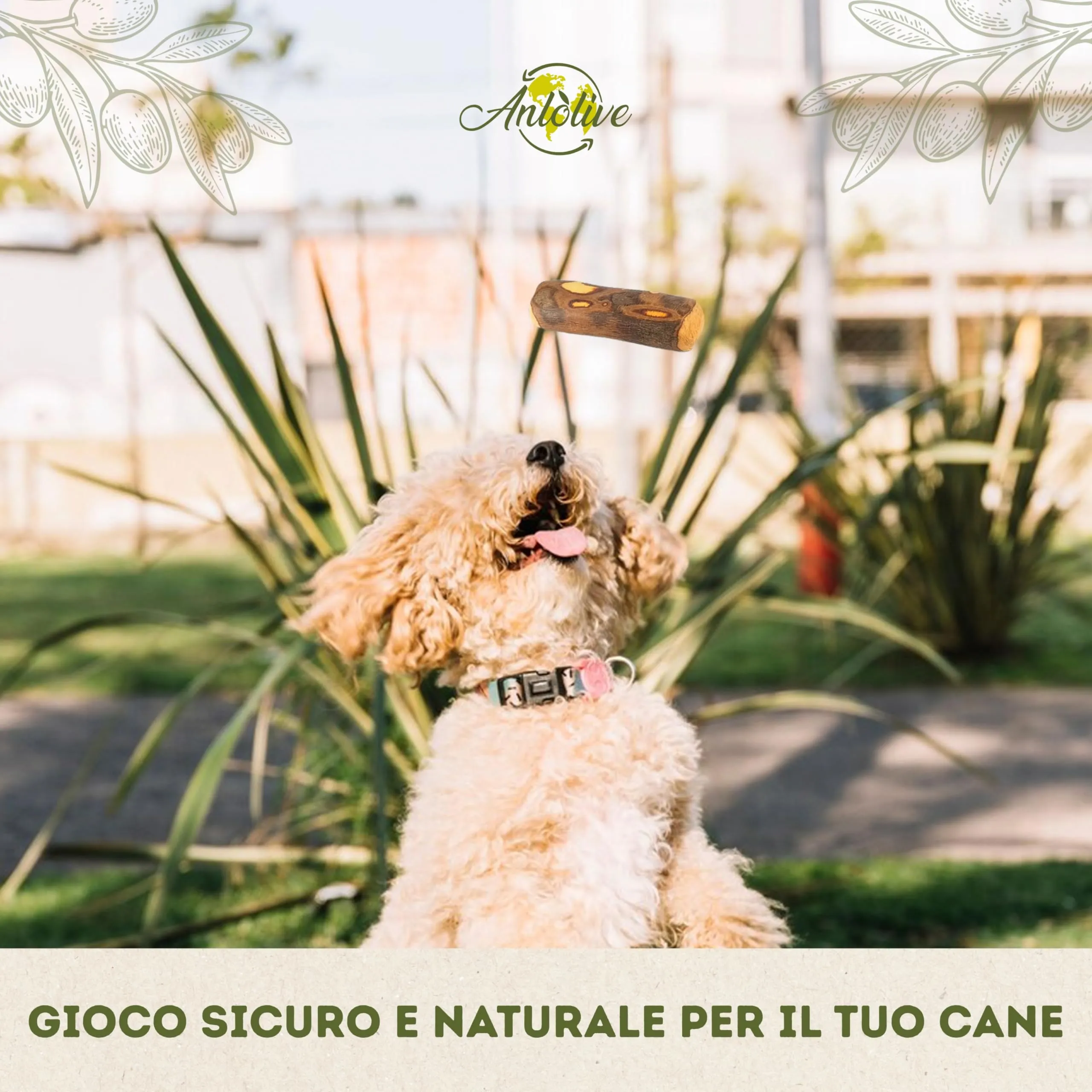 Anlolive Set 3 Giochi da Masticare in Legno d’Ulivo per Cani Piccoli, Taglia S 15 cm - immagine 6