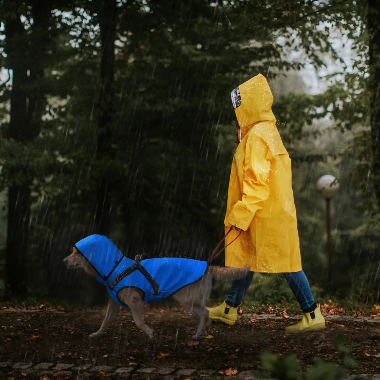 Mosucoirl Impermeabile per cani con cappuccio, Blu, Taglia L - immagine 7