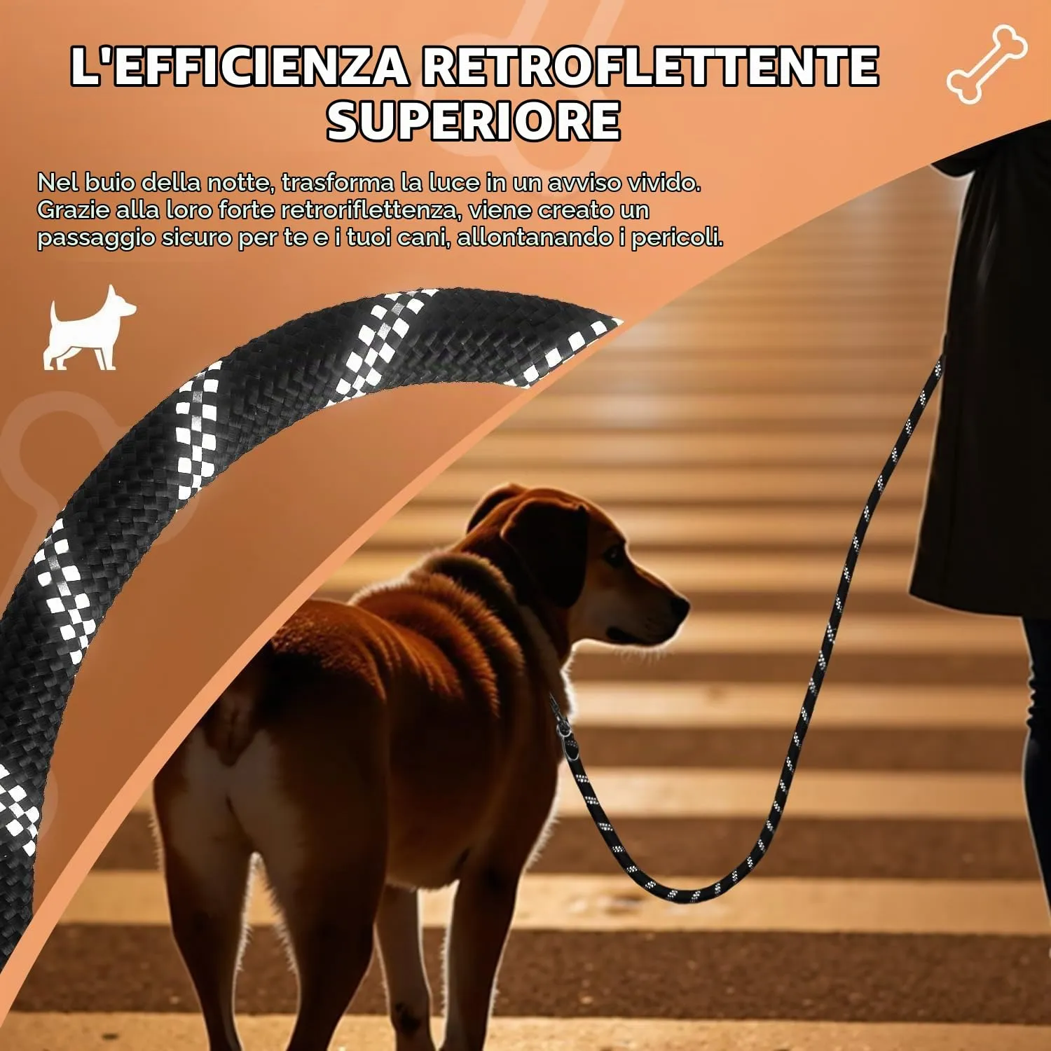 PETCOOZ Guinzaglio per Cani Regolabile 3m, Doppio con Filo Riflettente, Nero - immagine 5