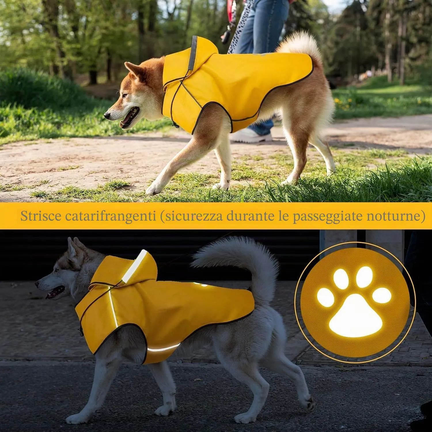 Cappotto impermeabile per cani DQGHQME con cappuccio e strisce riflettenti, Taglia M, Giallo - immagine 3