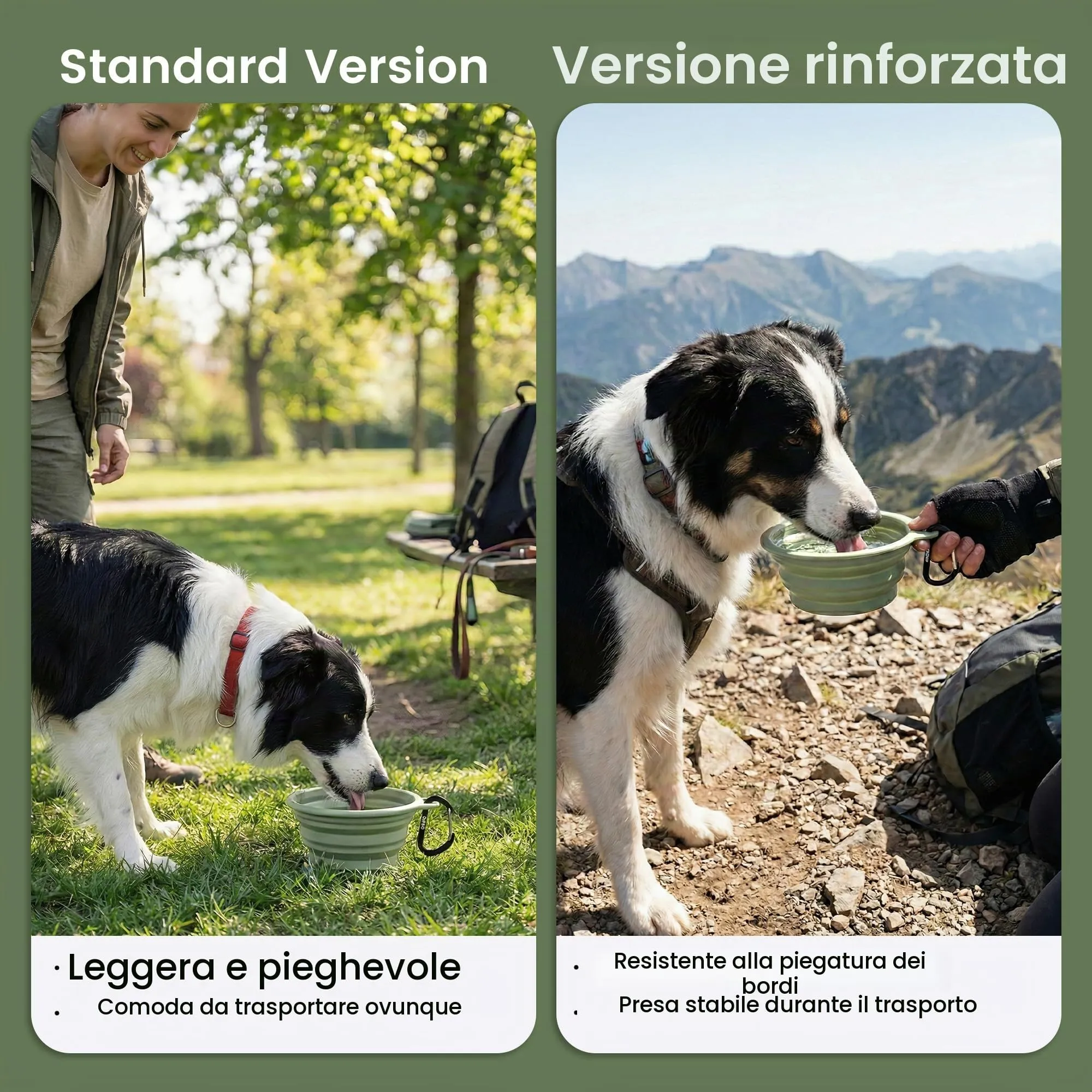 OHMO Ciotole Cane Portatili Pieghevoli in Silicone e Acciaio Inox, 800ml, 2 pz, Corallo e Verde Chiaro - immagine 4